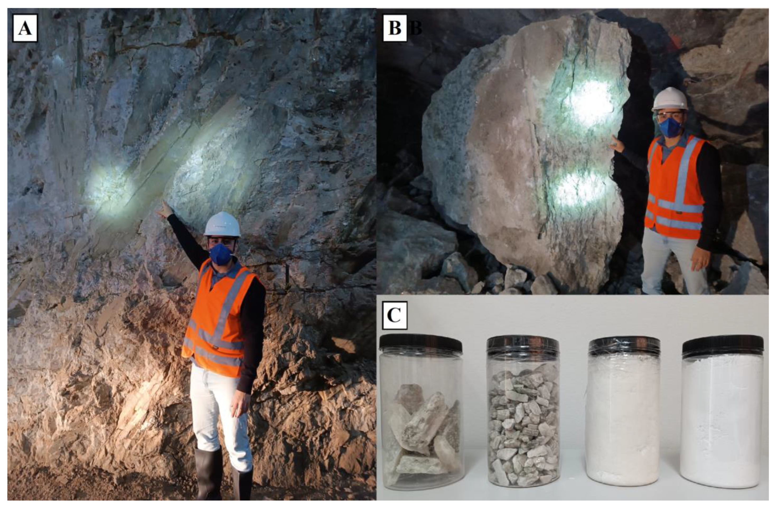 Preprints 179844 g006