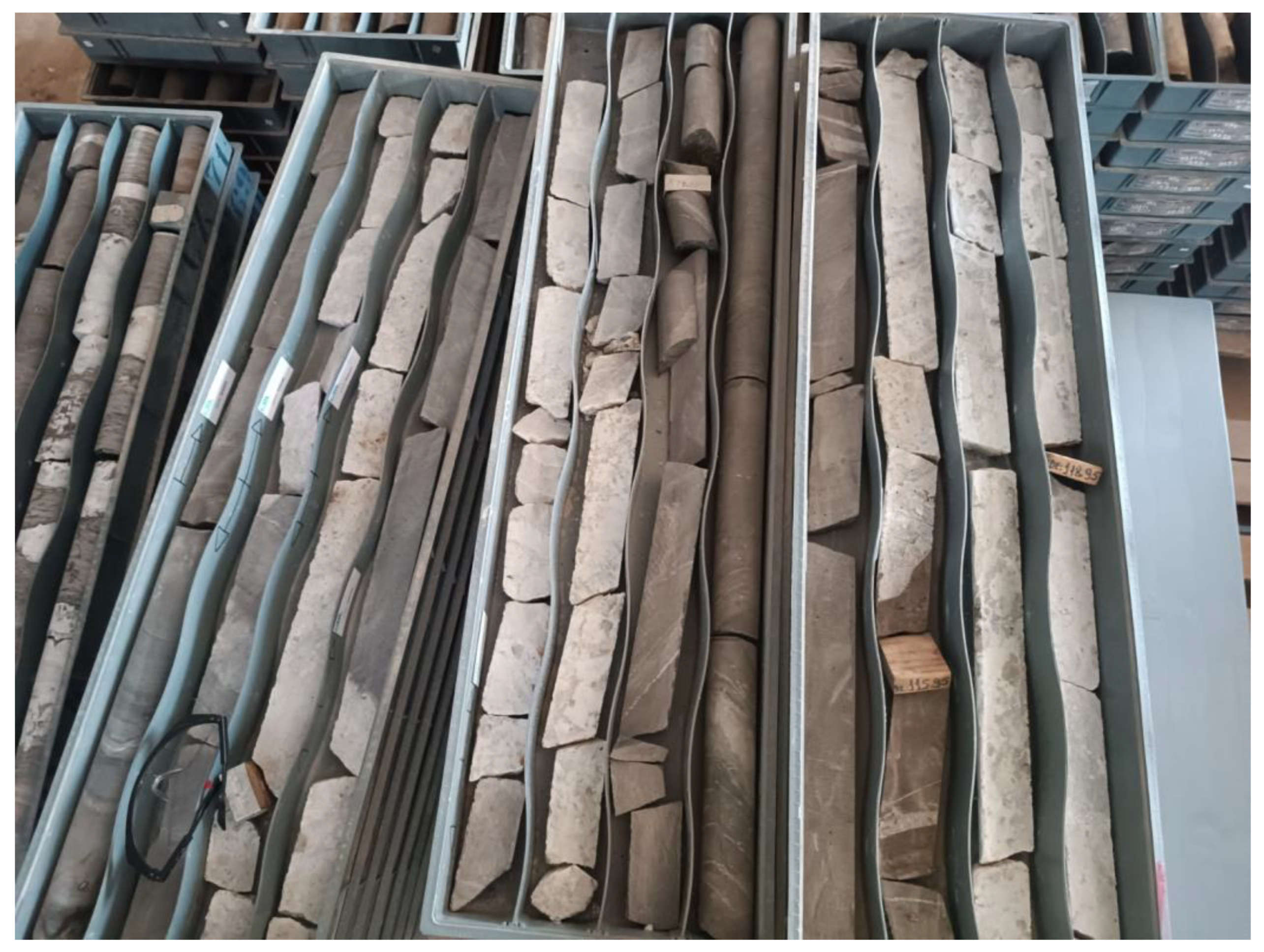 Preprints 179844 g009