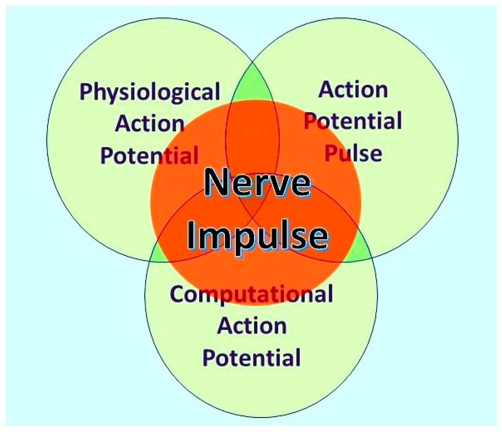 Preprints 141896 g001
