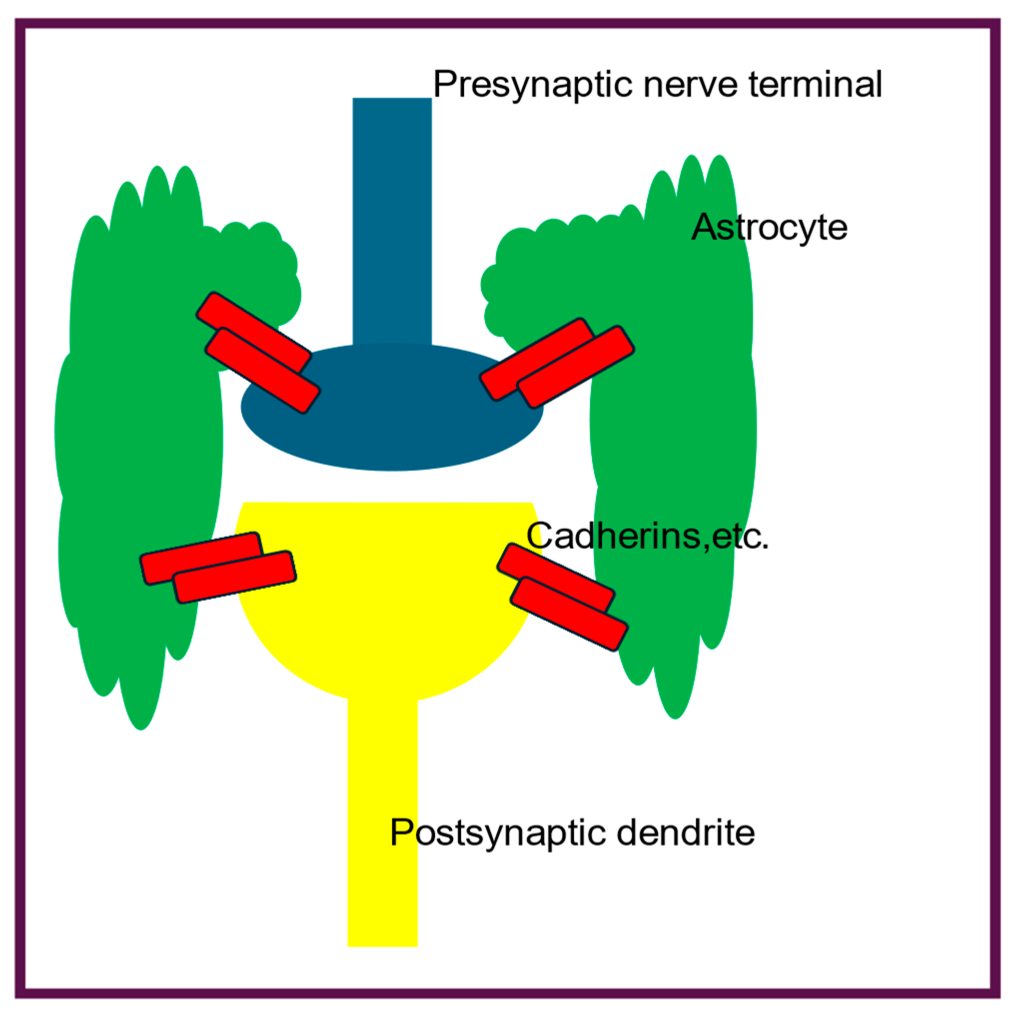 Preprints 141896 g002