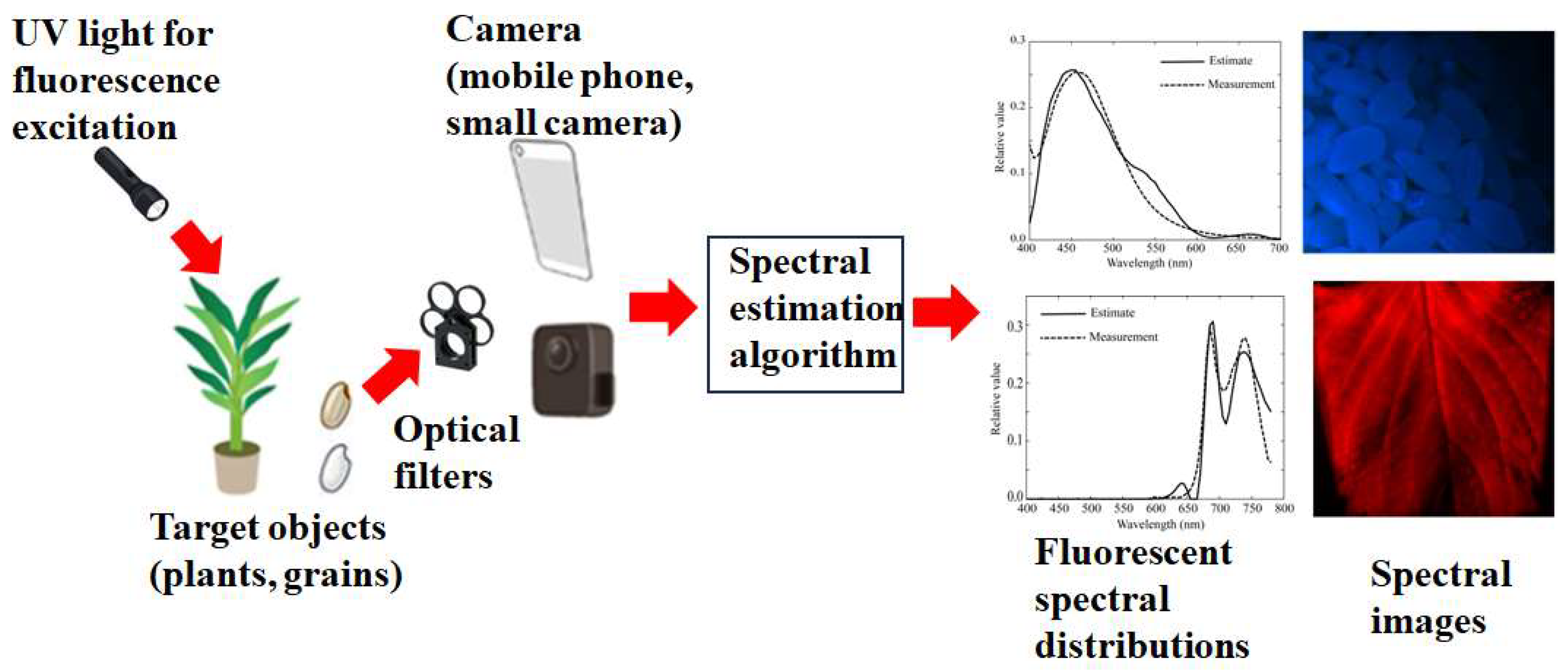 Preprints 141752 g001