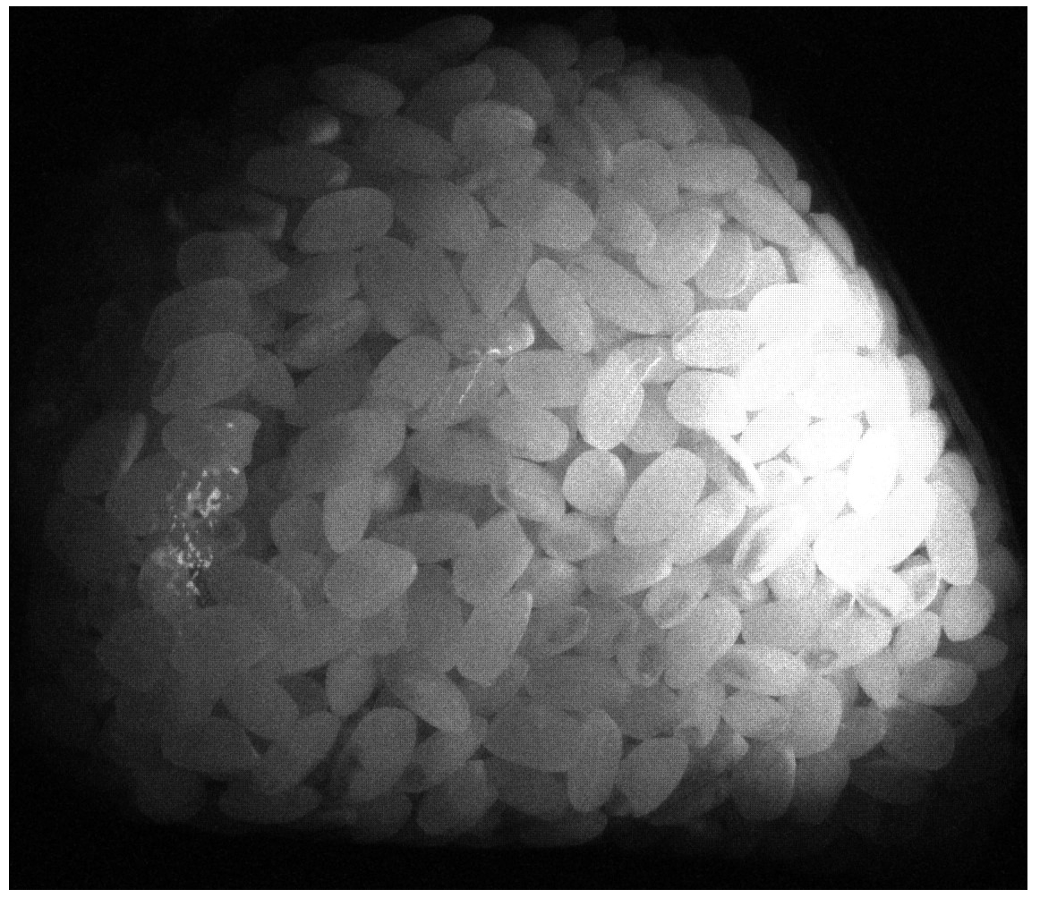 Preprints 141752 g009