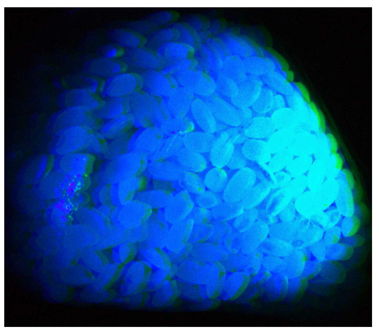 Preprints 141752 g013