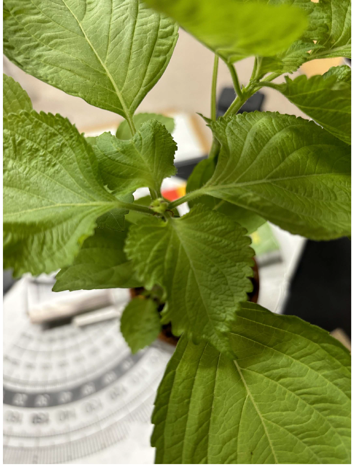 Preprints 141752 g014