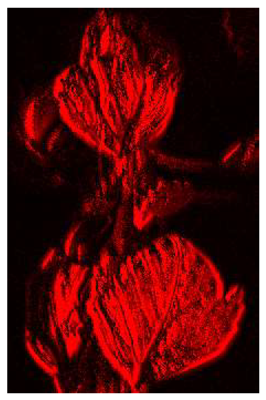 Preprints 141752 g018