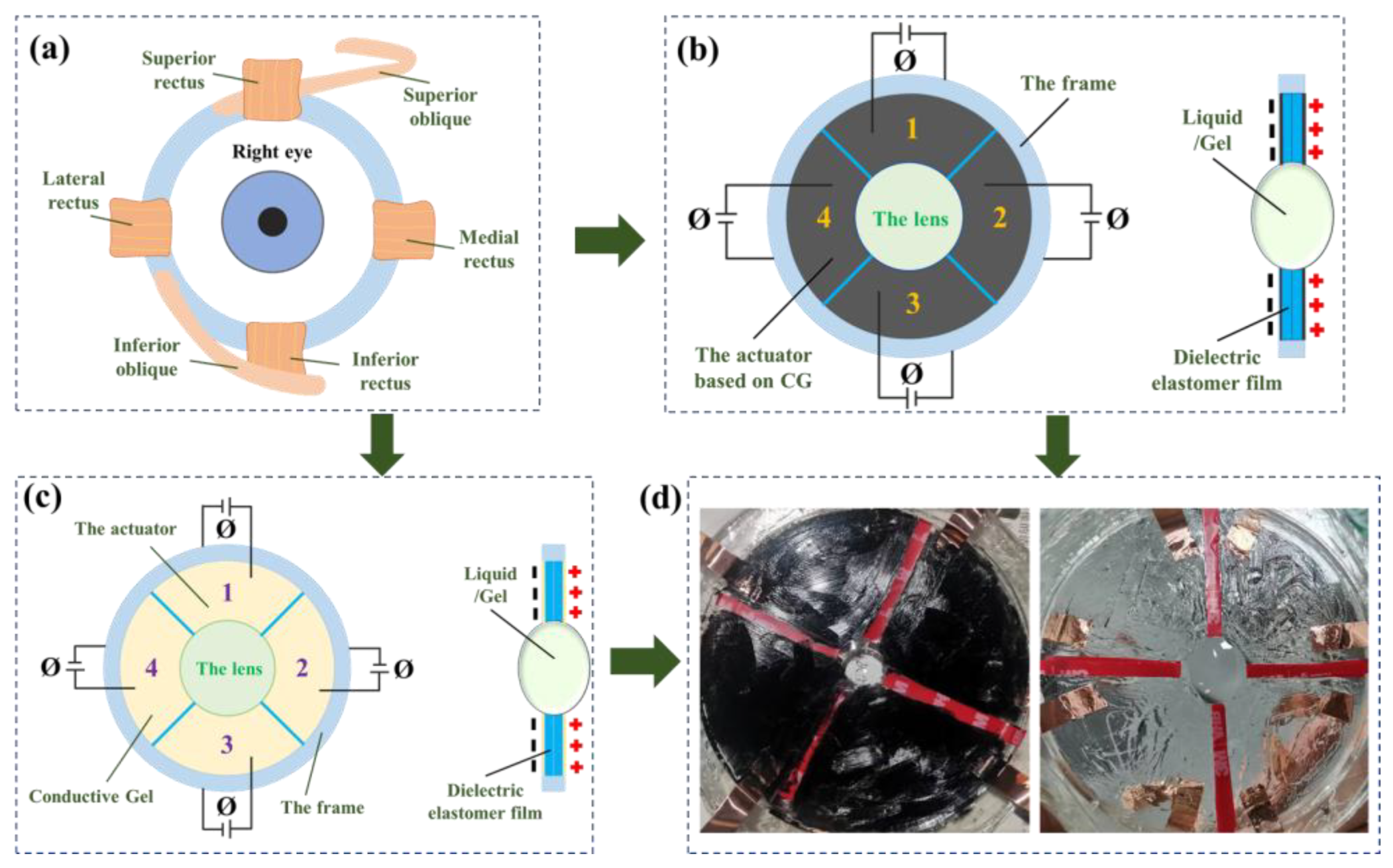 Preprints 191060 g001