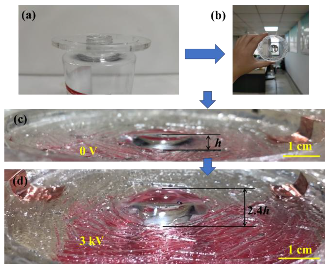 Preprints 191060 g002