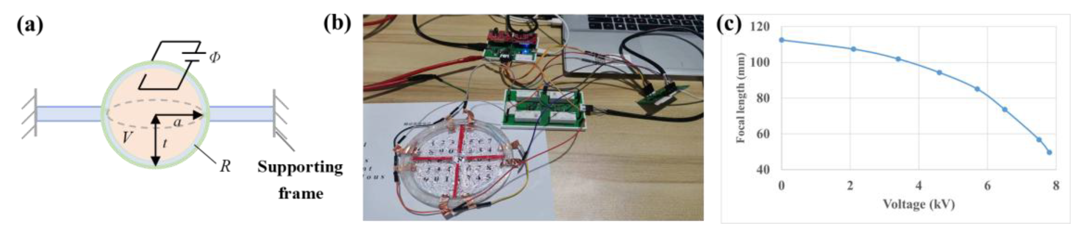 Preprints 191060 g007