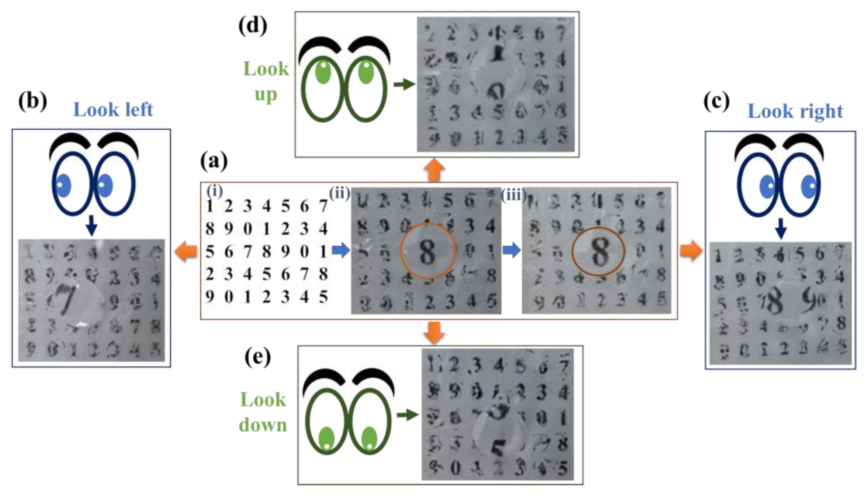 Preprints 191060 g008