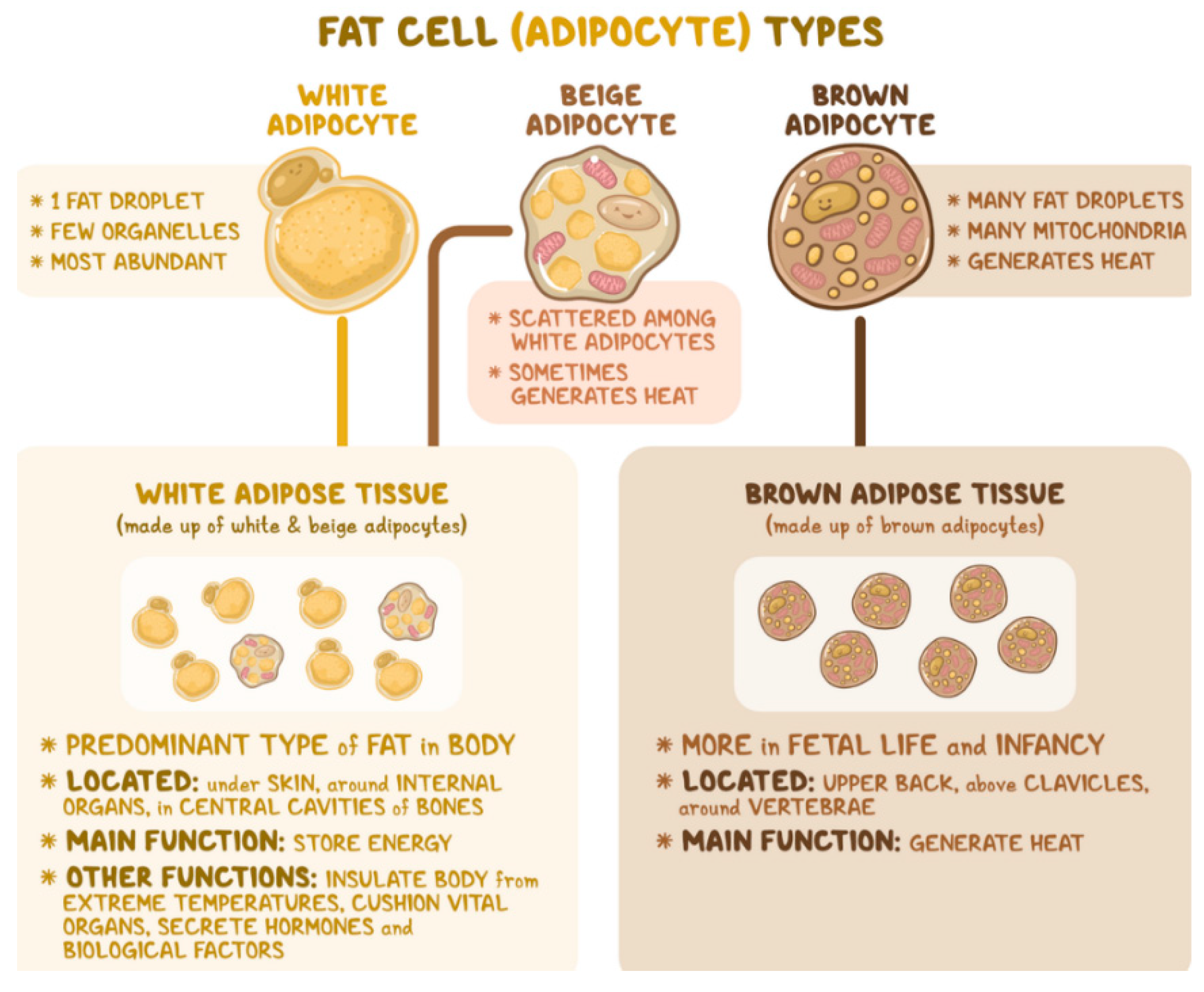 Preprints 154958 g001