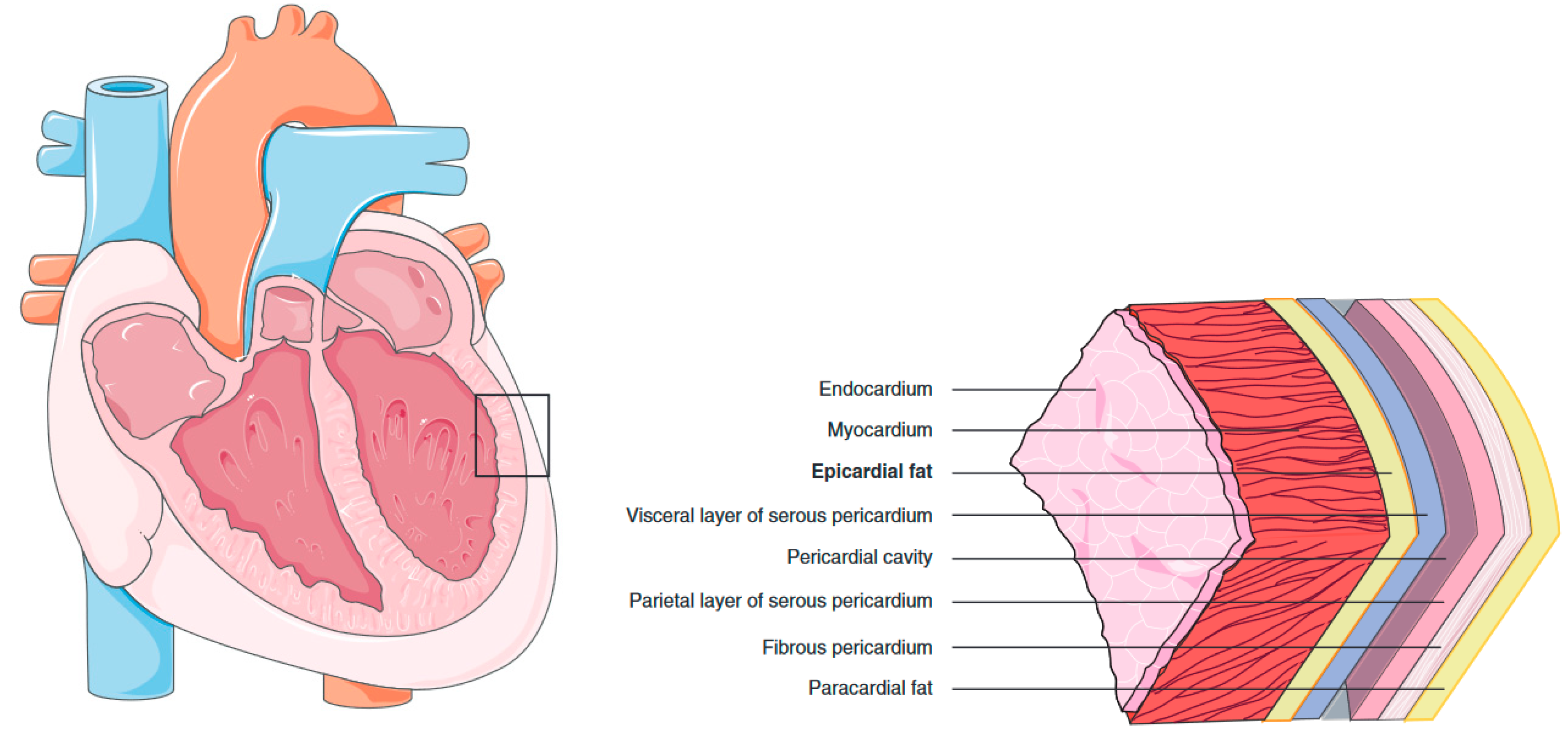 Preprints 154958 g002