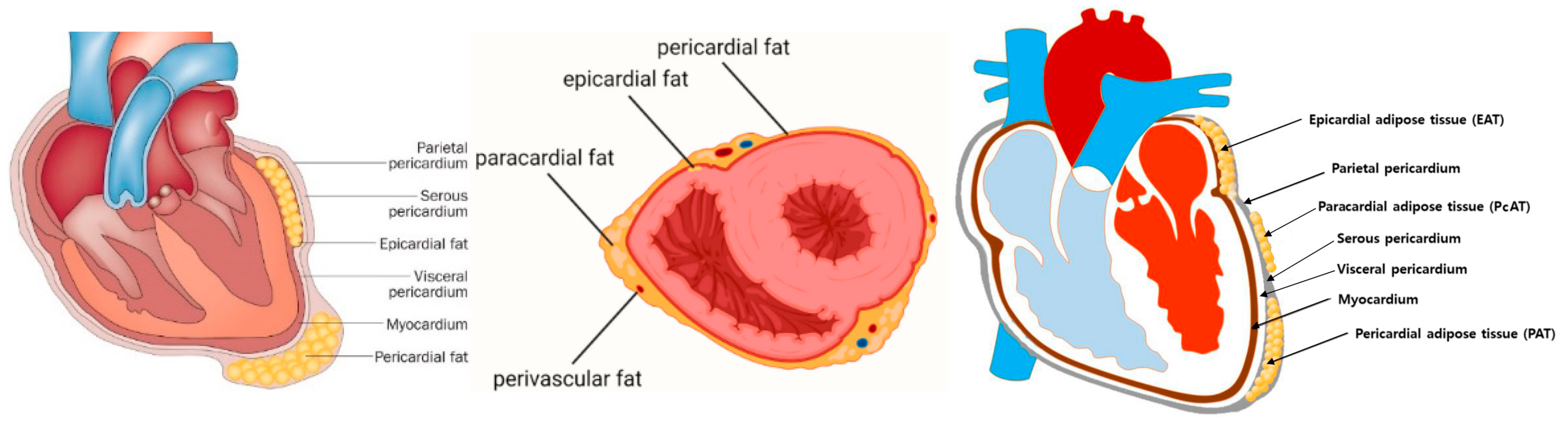 Preprints 154958 g003