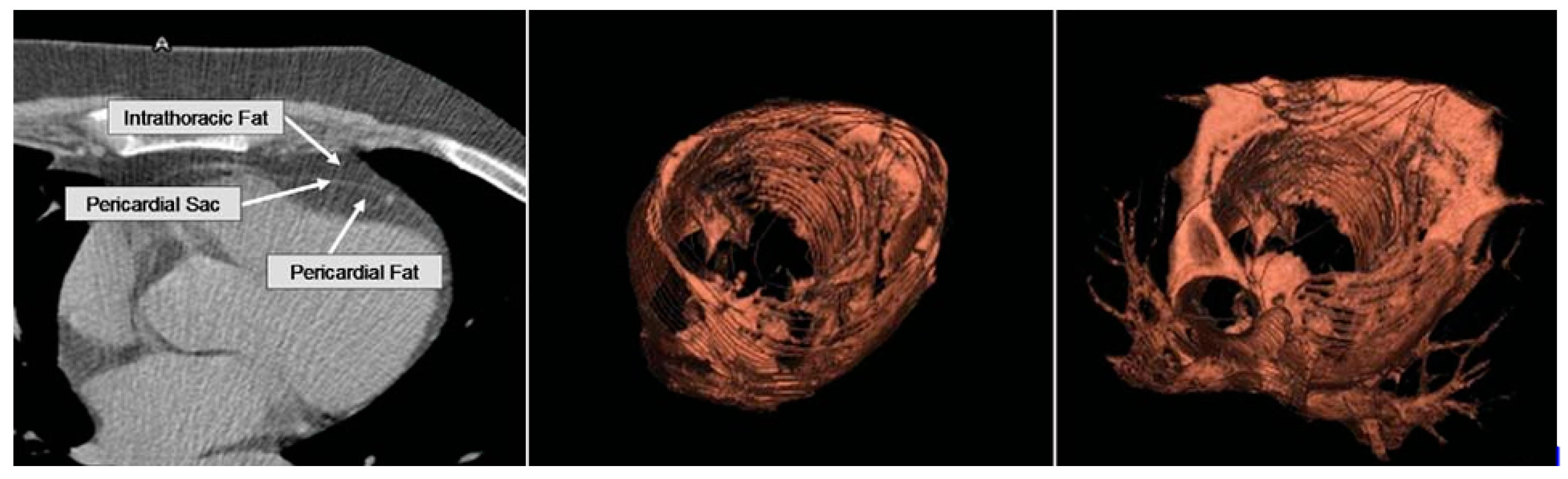 Preprints 154958 g004