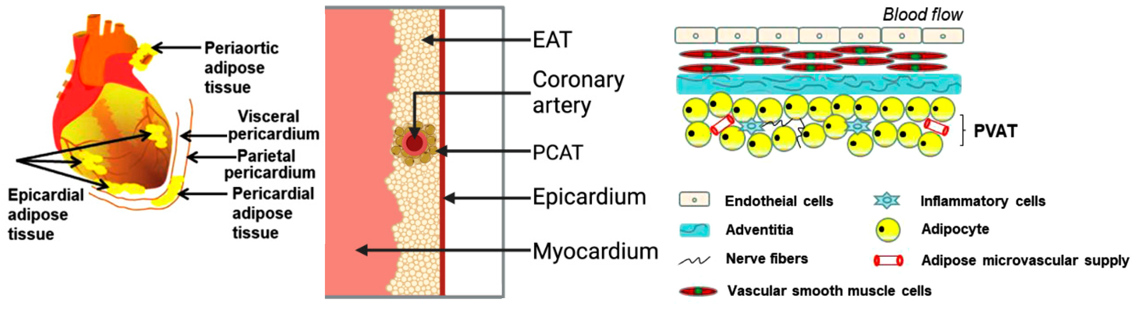 Preprints 154958 g005