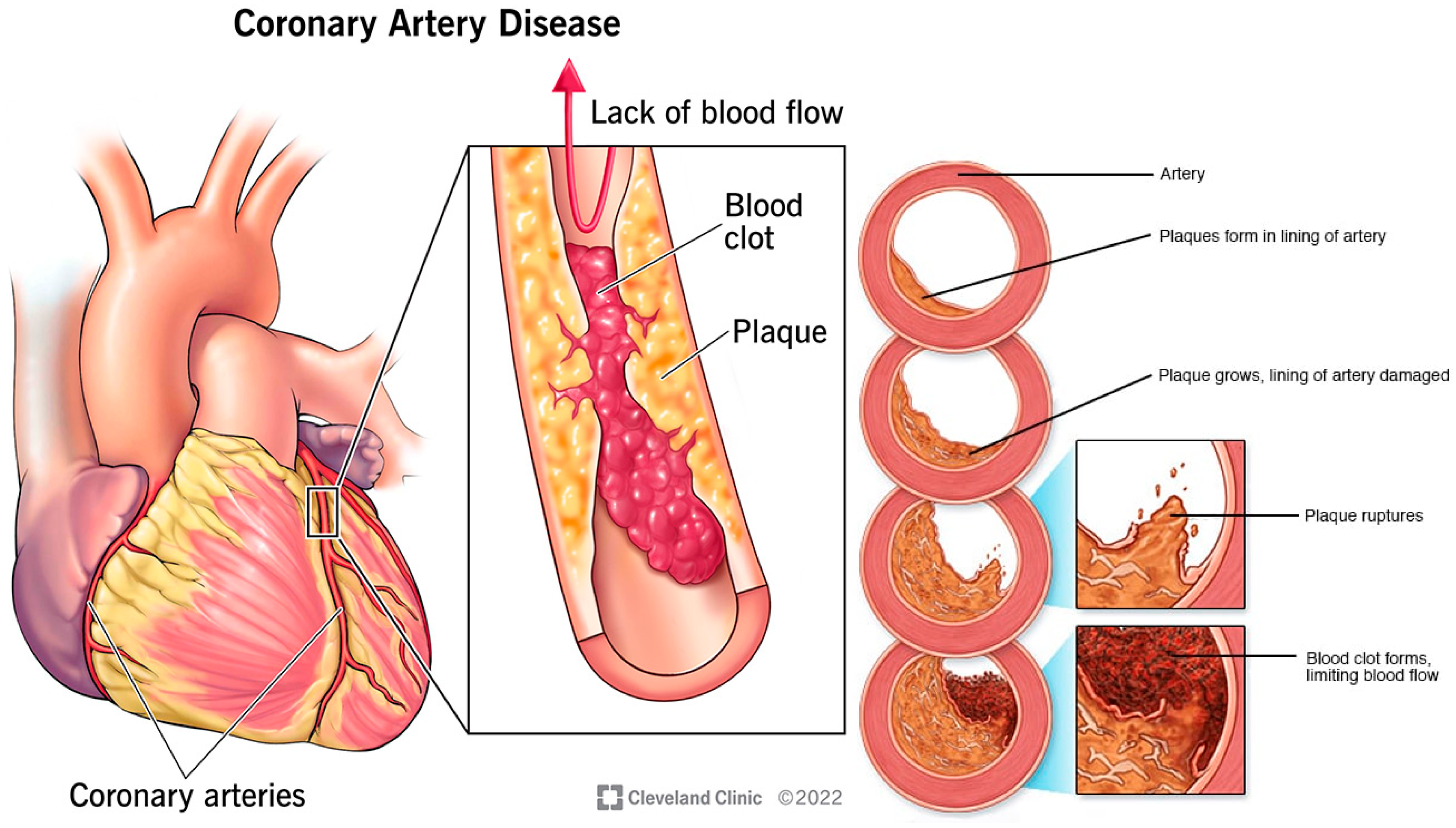 Preprints 154958 g006