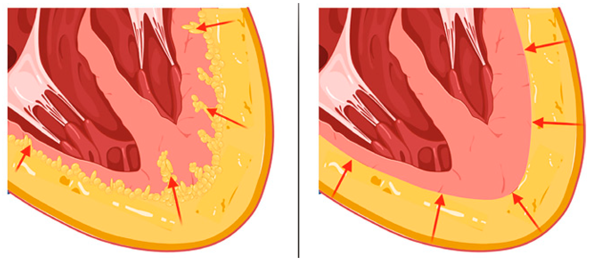 Preprints 154958 g007