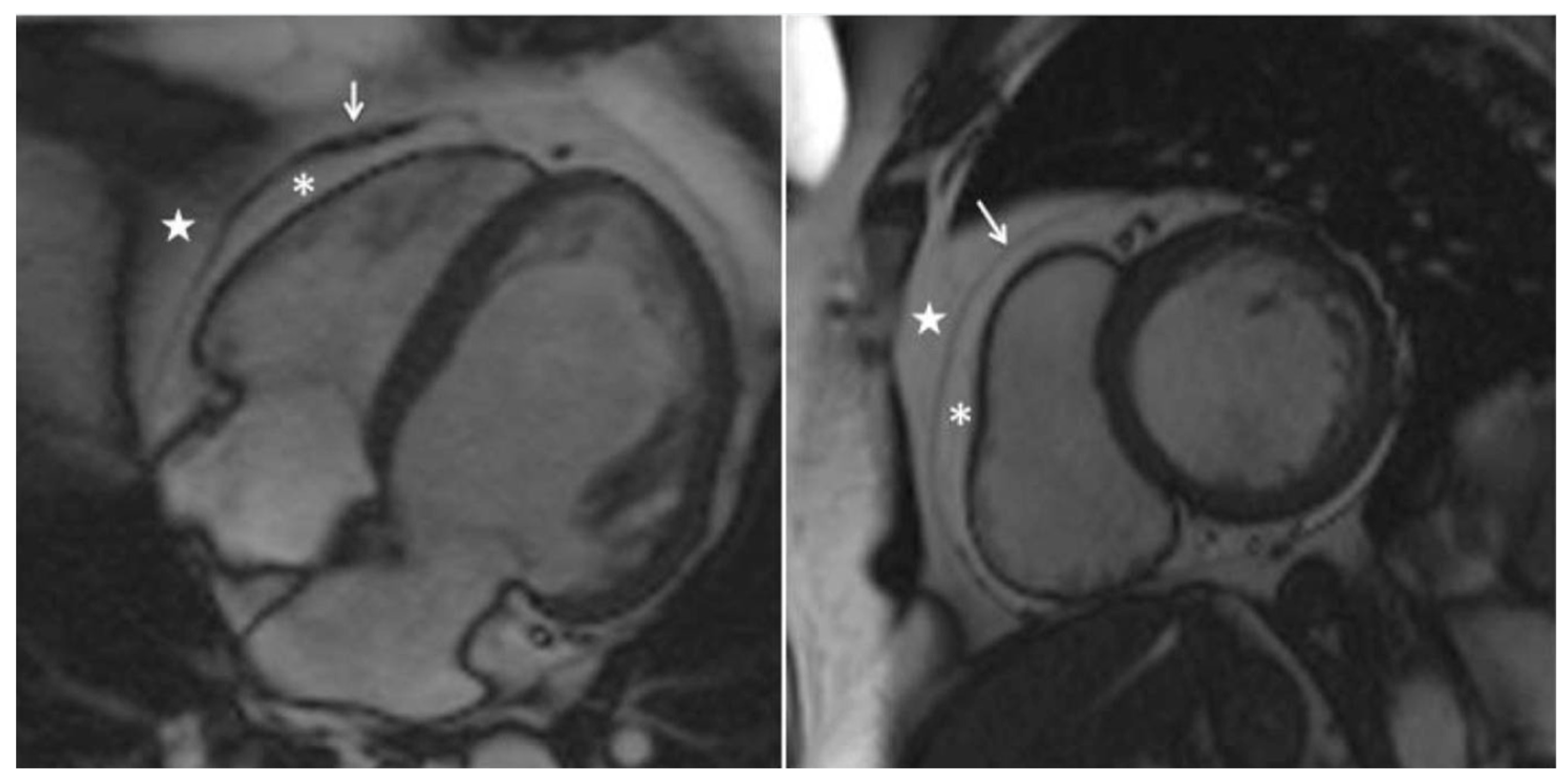 Preprints 154958 g008