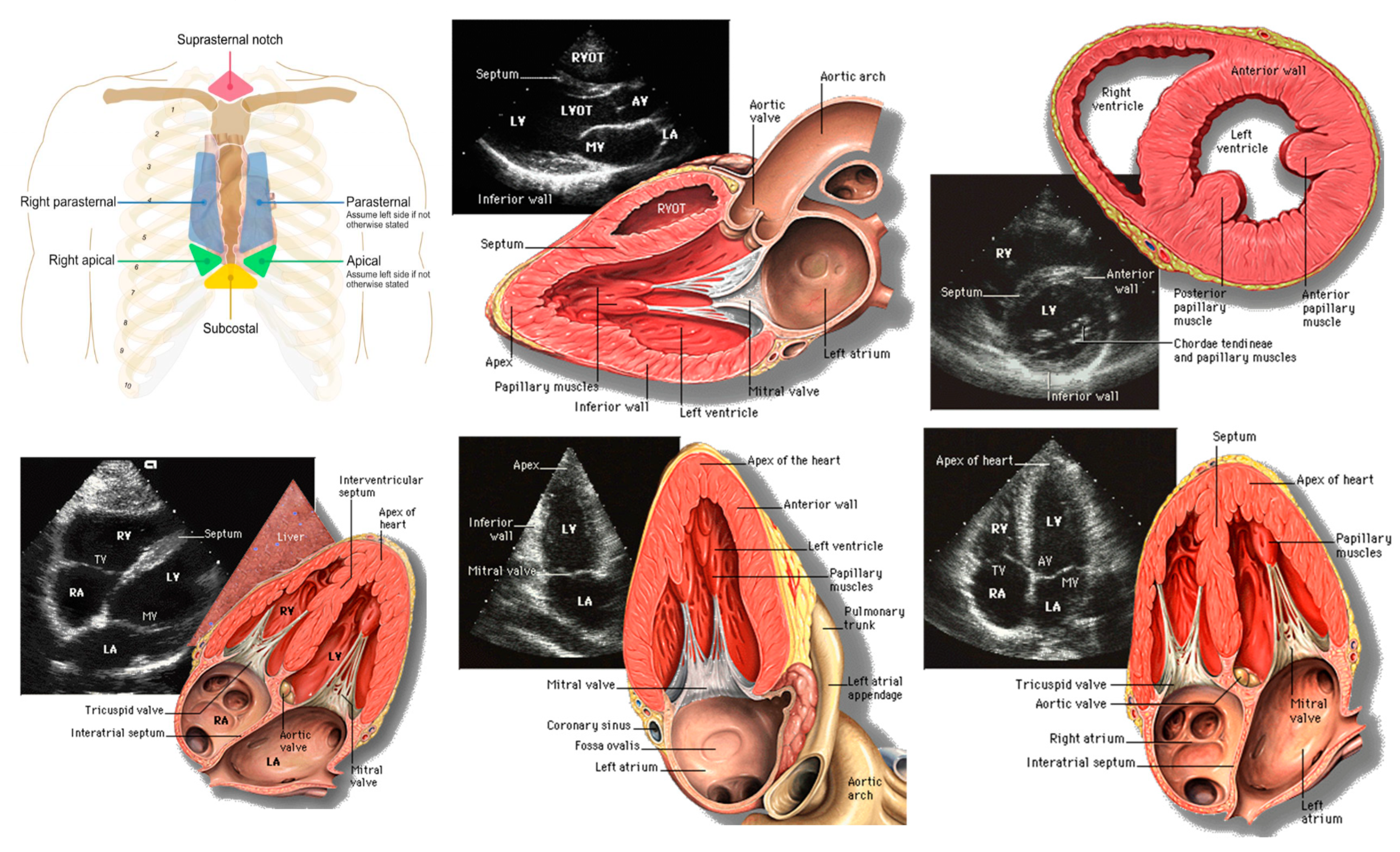 Preprints 154958 g012