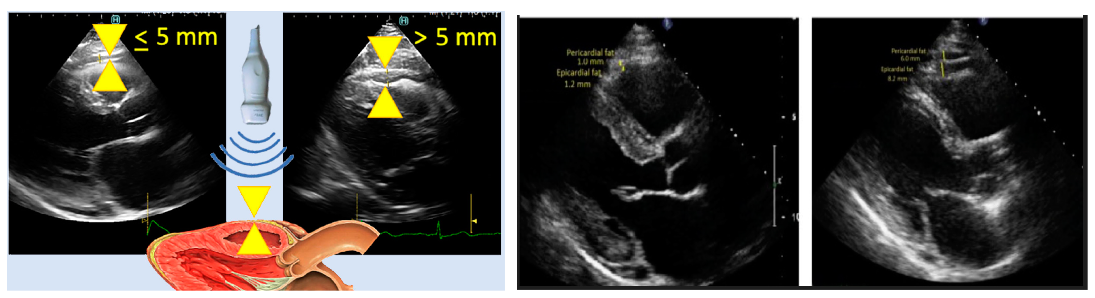 Preprints 154958 g014
