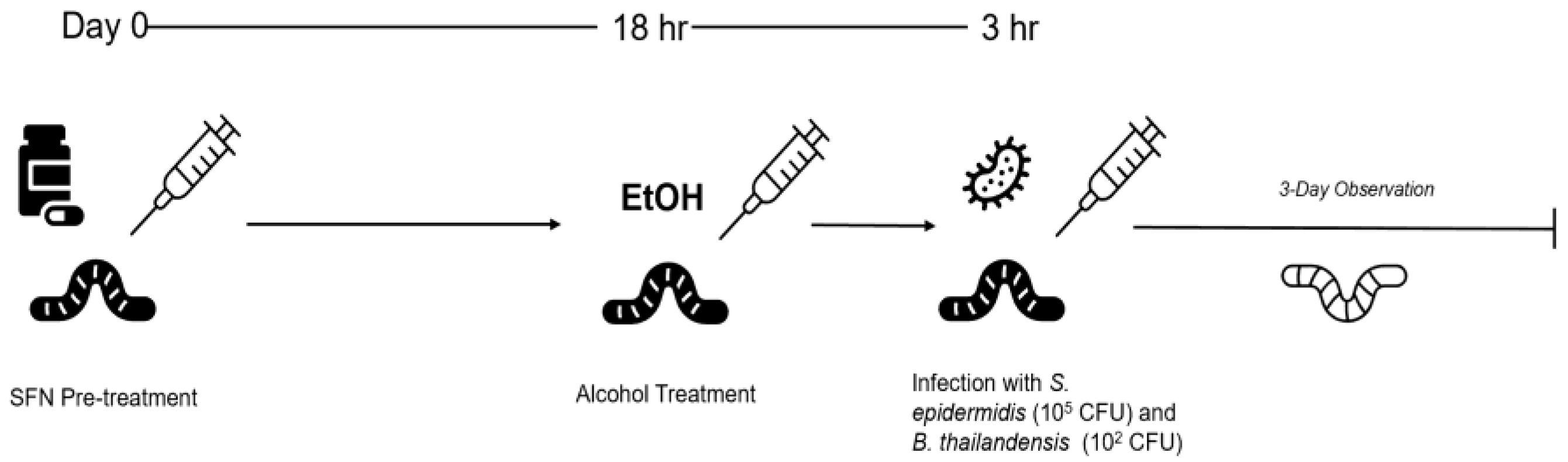 Preprints 181708 g001