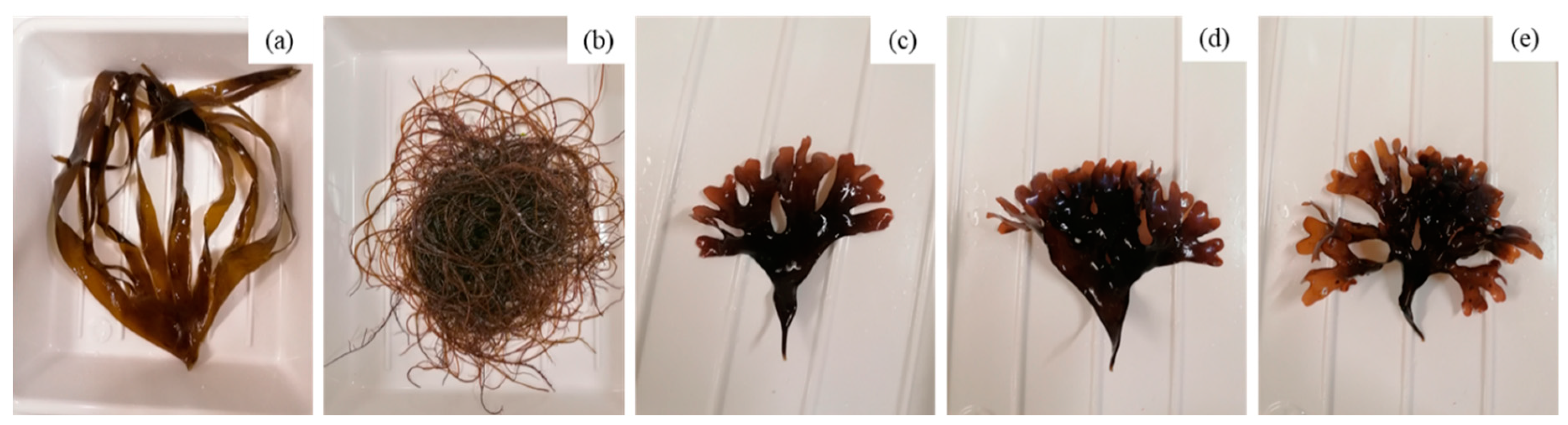 Preprints 84312 g001