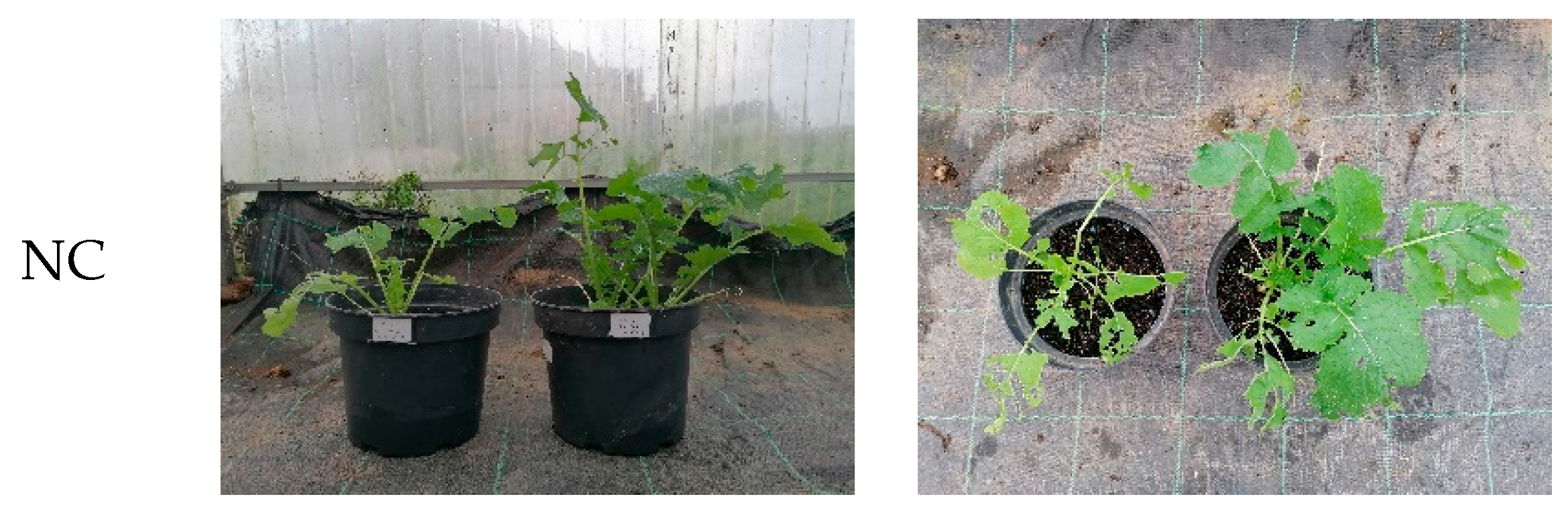 Preprints 84312 g005a