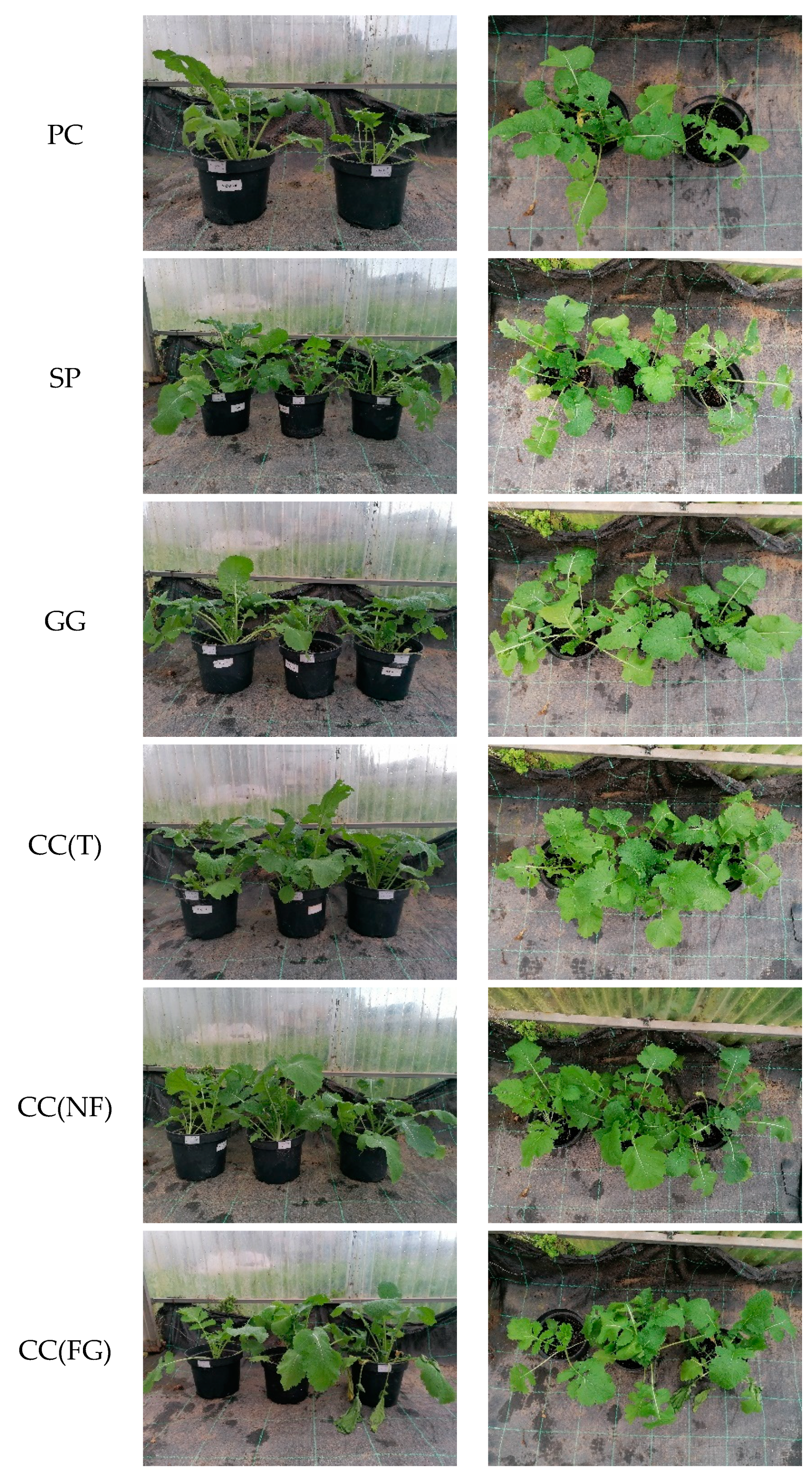 Preprints 84312 g005b