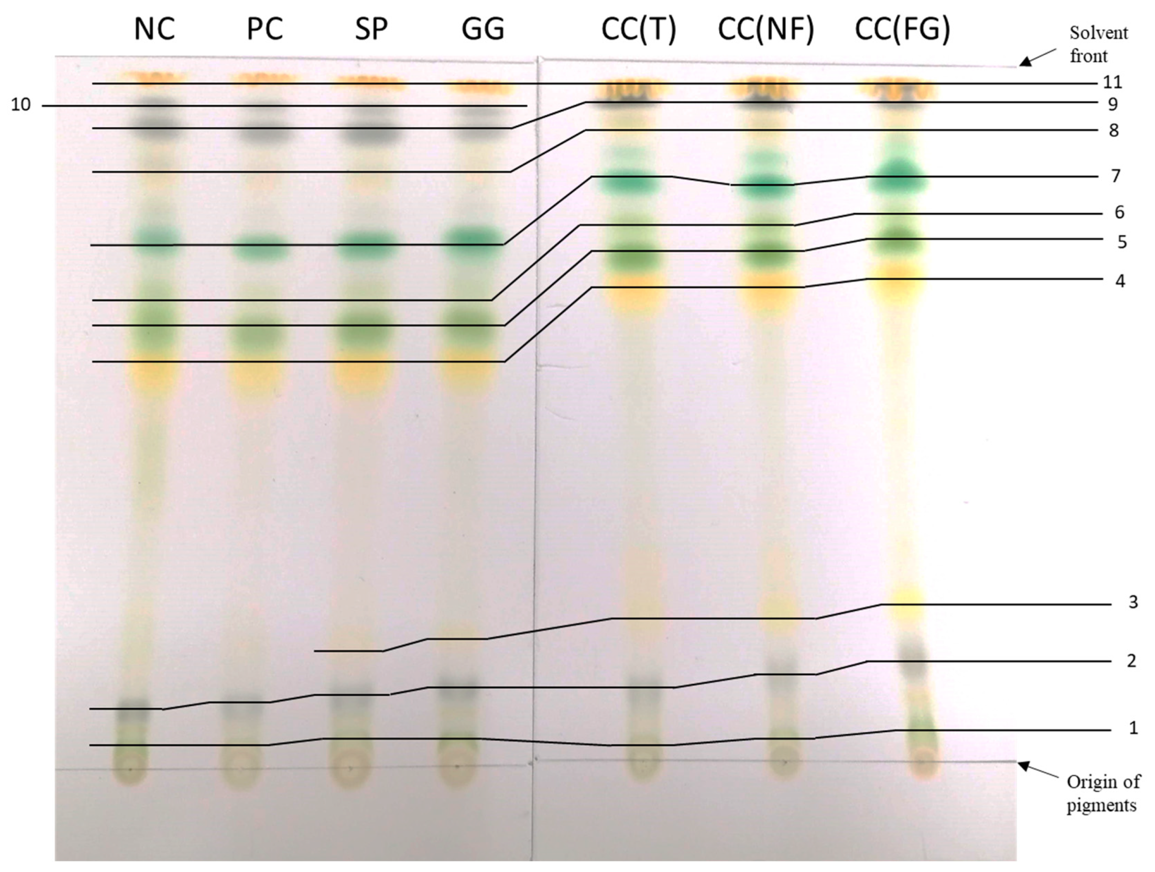 Preprints 84312 g010