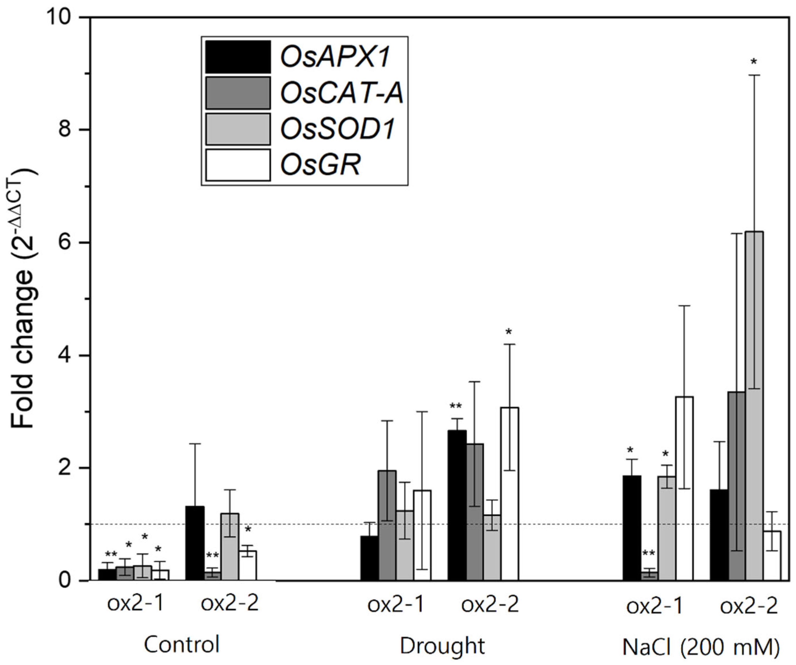 Preprints 164238 g004