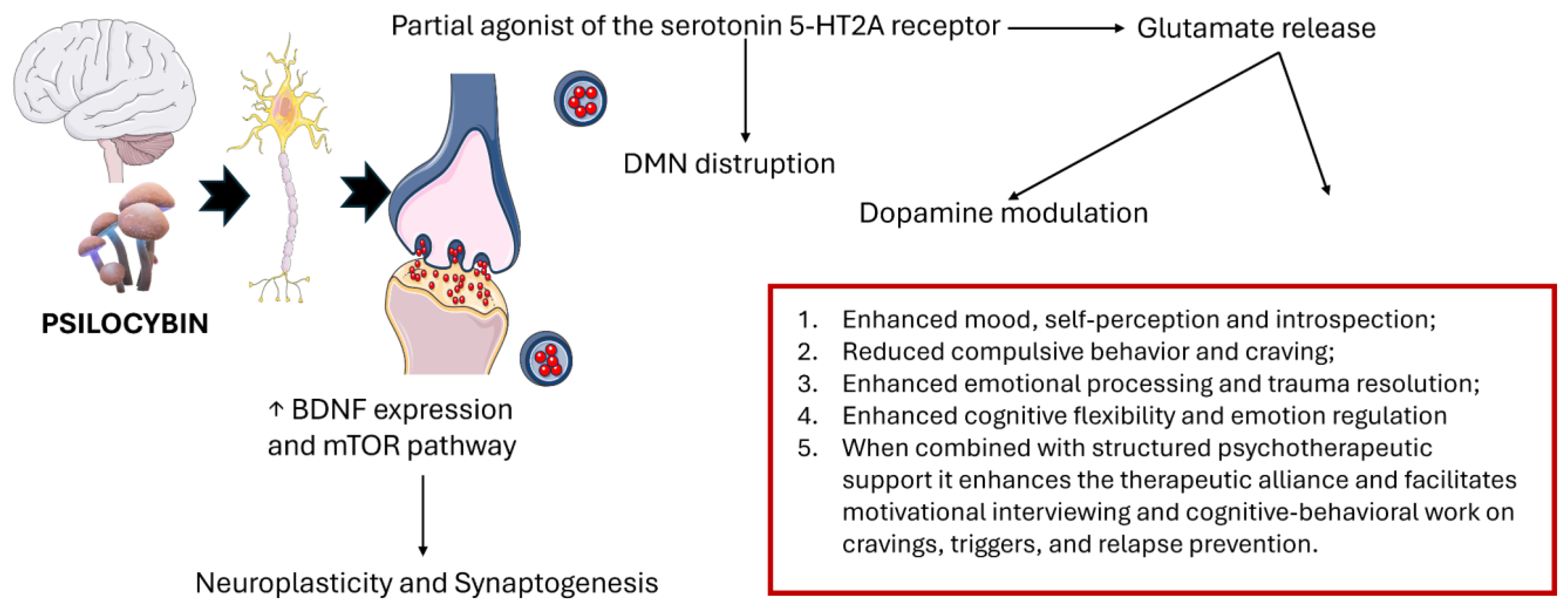 Preprints 164222 g001