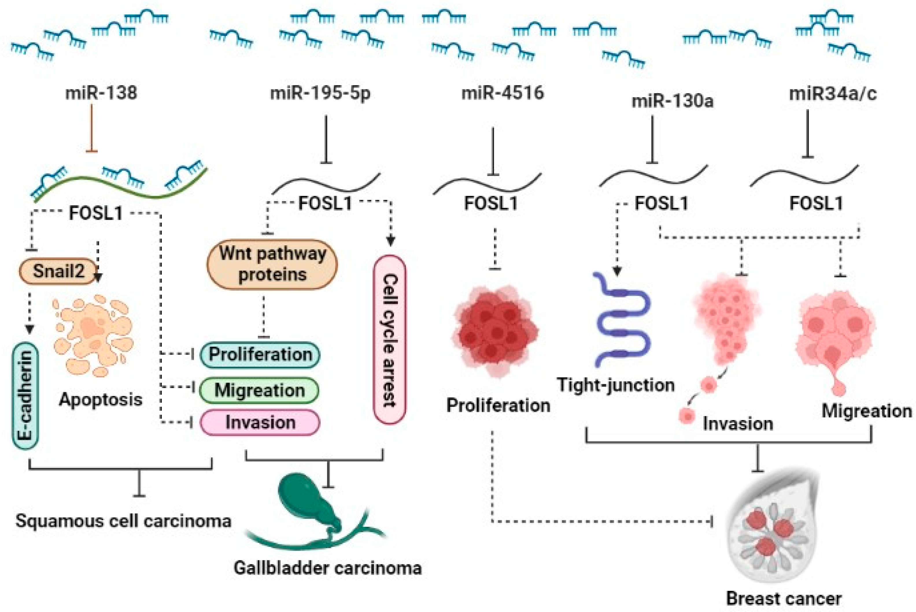 Preprints 93720 g001