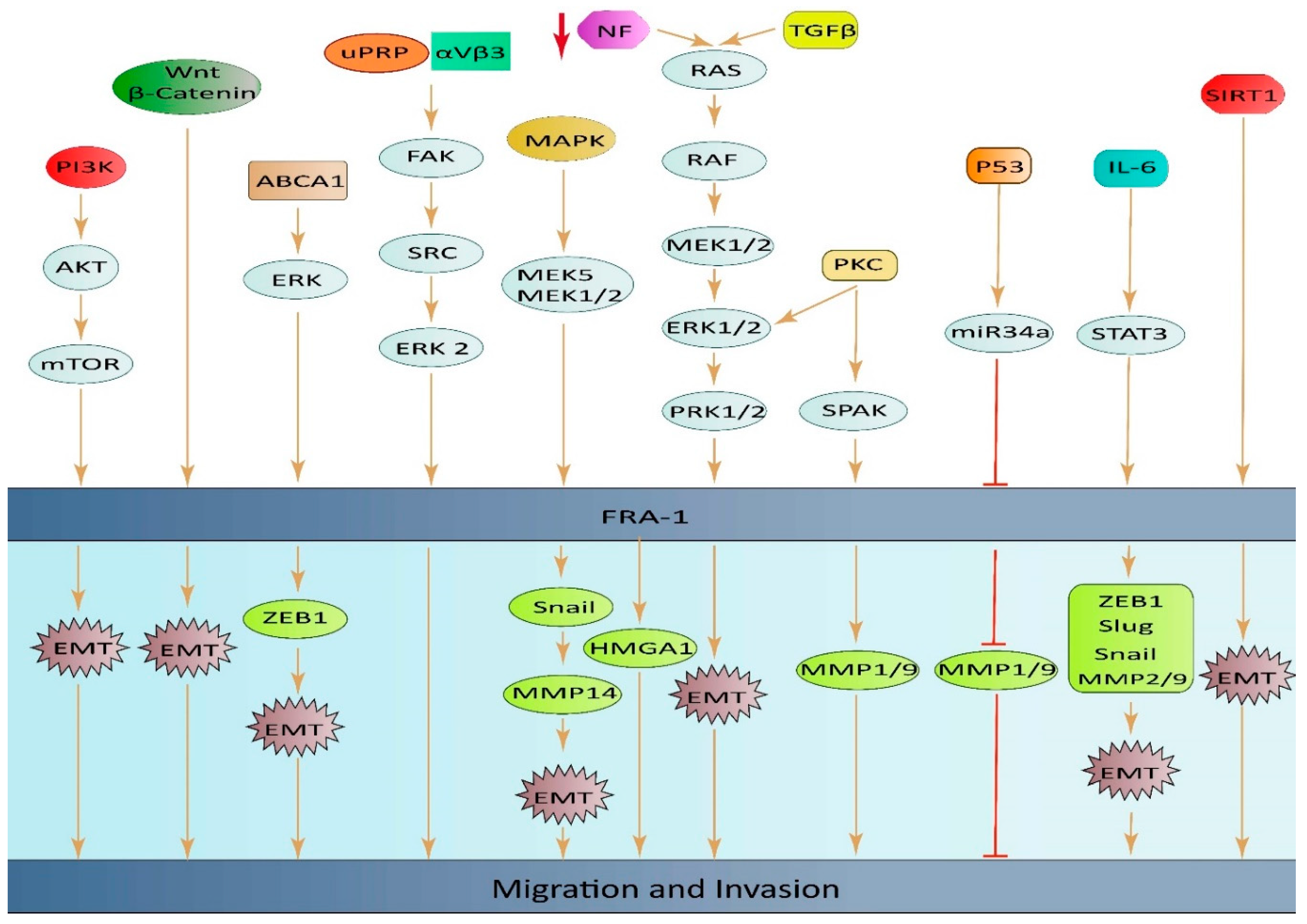 Preprints 93720 g002