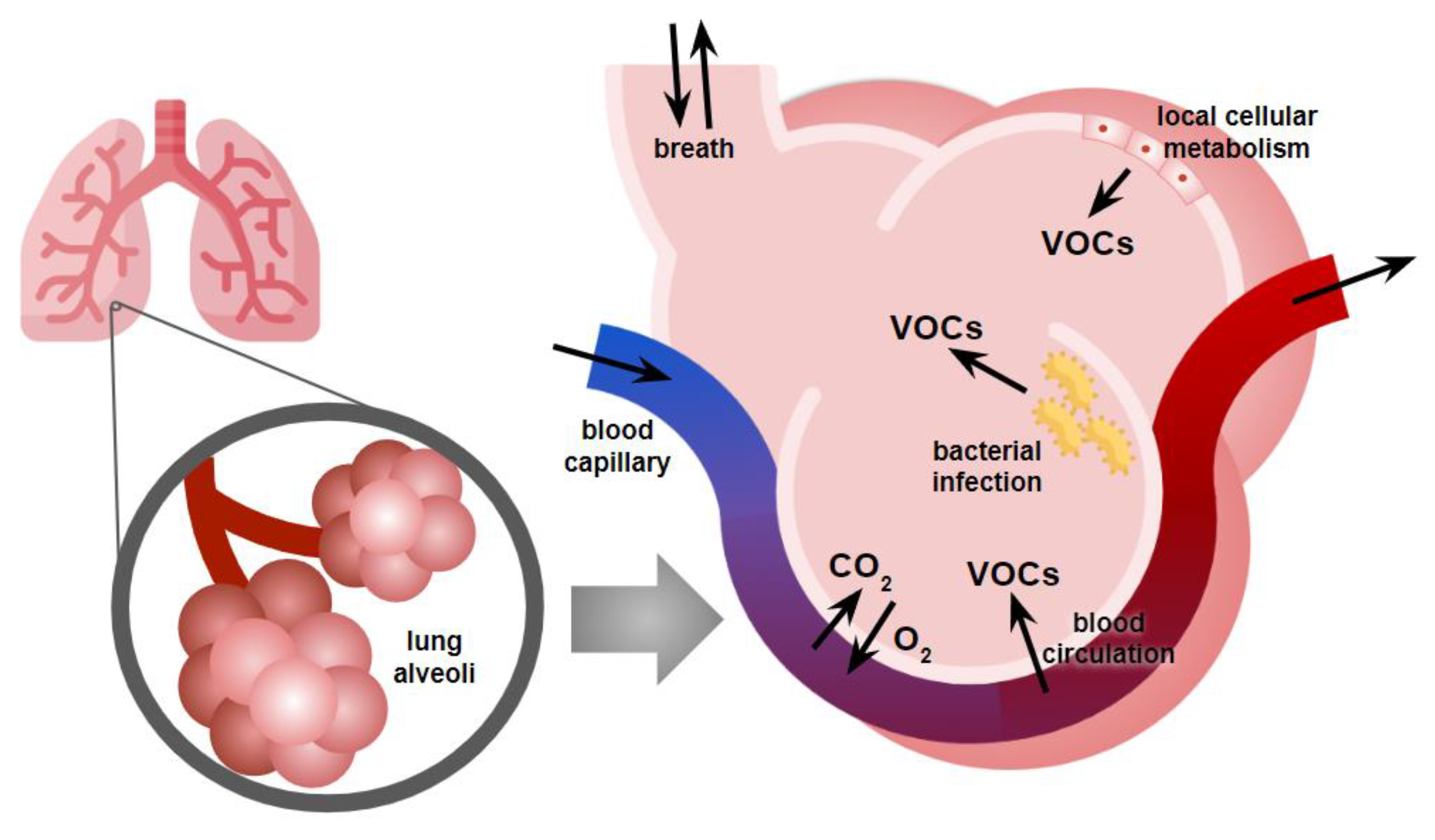 Preprints 150577 g001