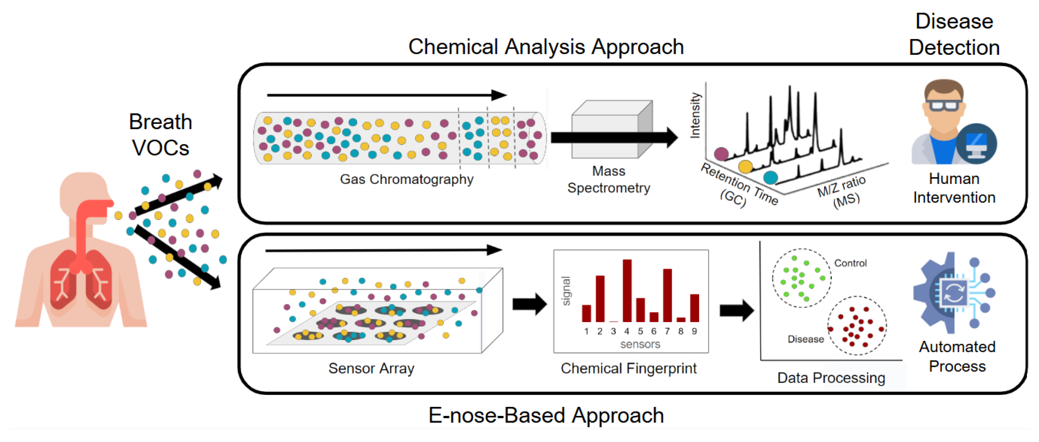 Preprints 150577 g002