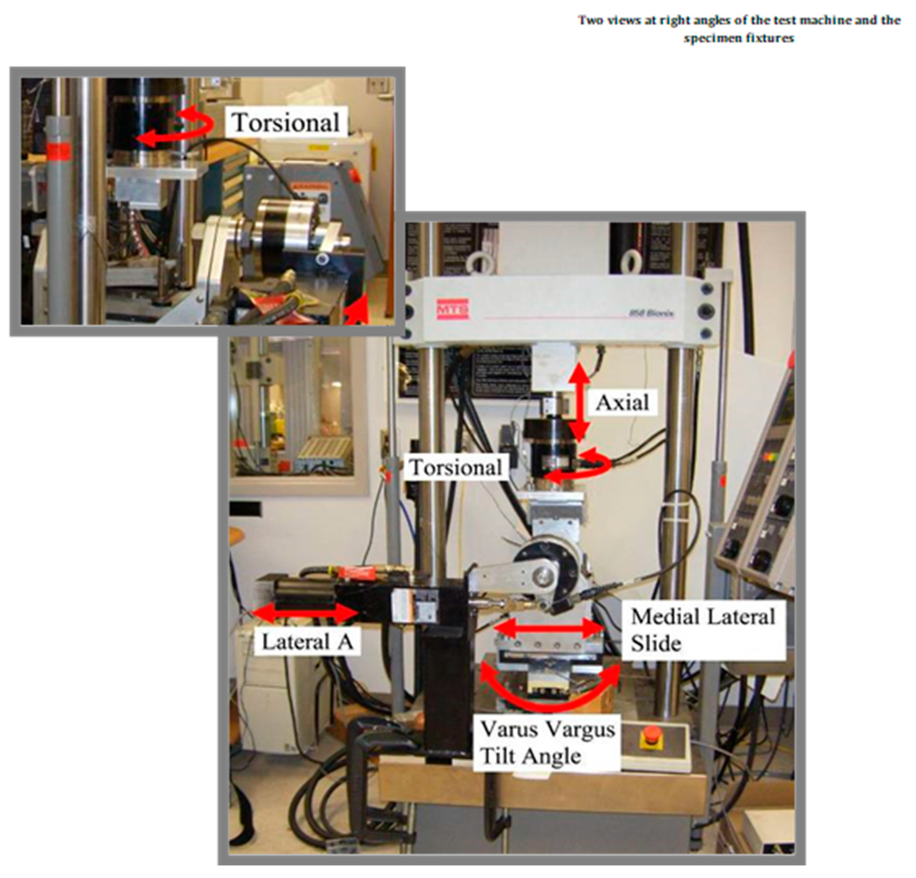 Preprints 157243 g002