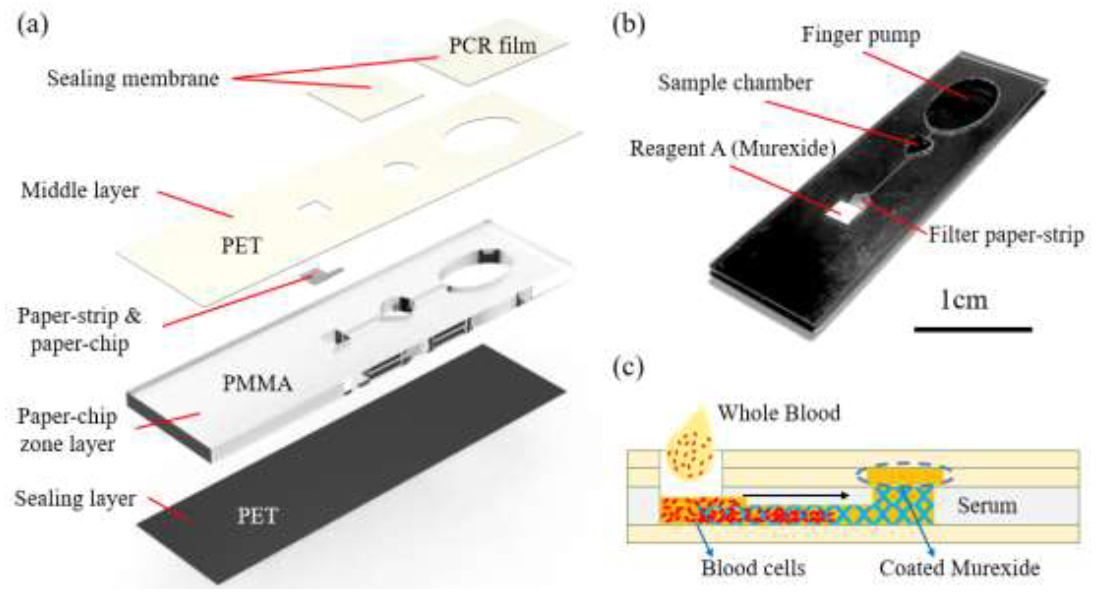 Preprints 198611 g001