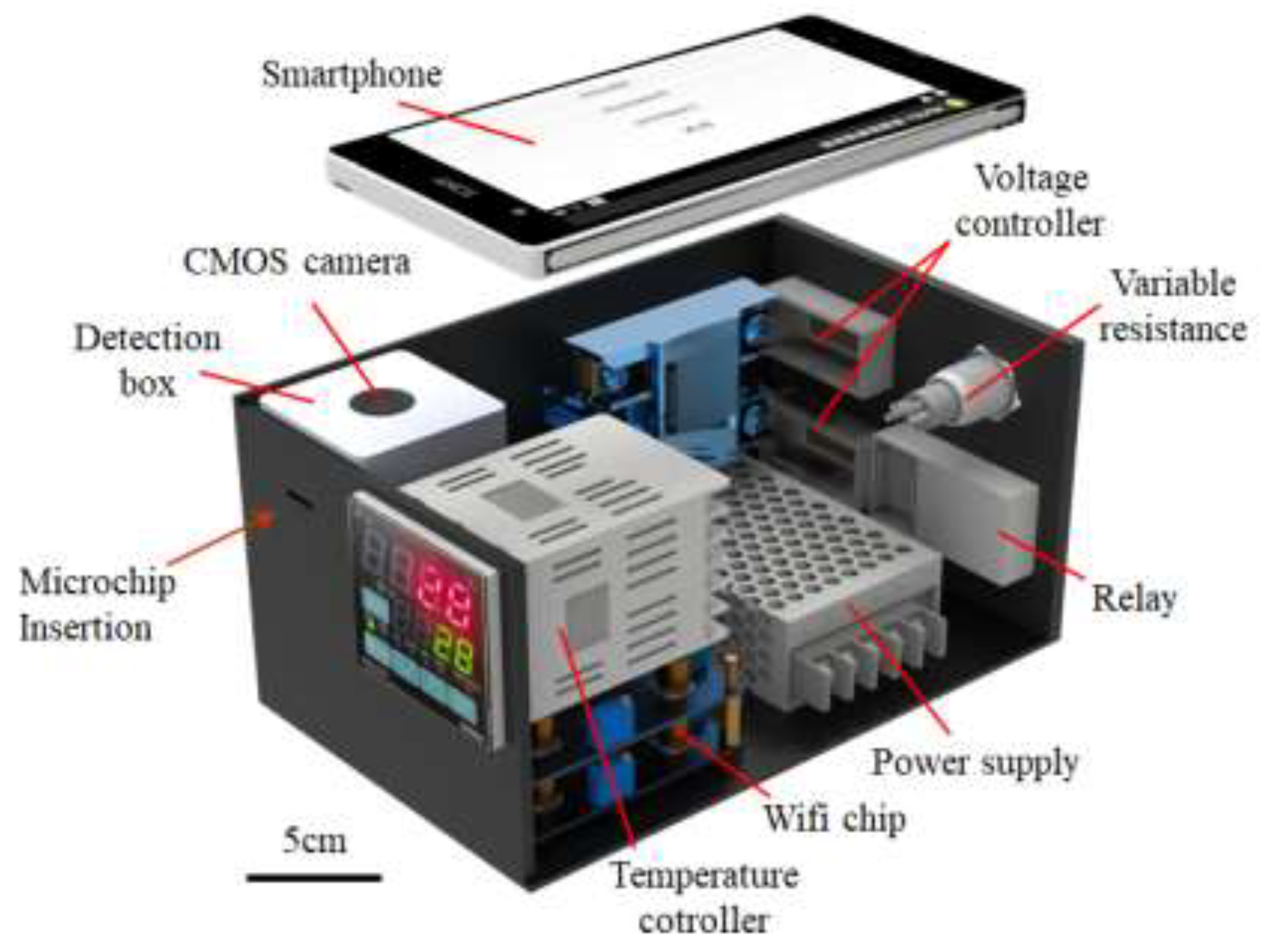 Preprints 198611 g002