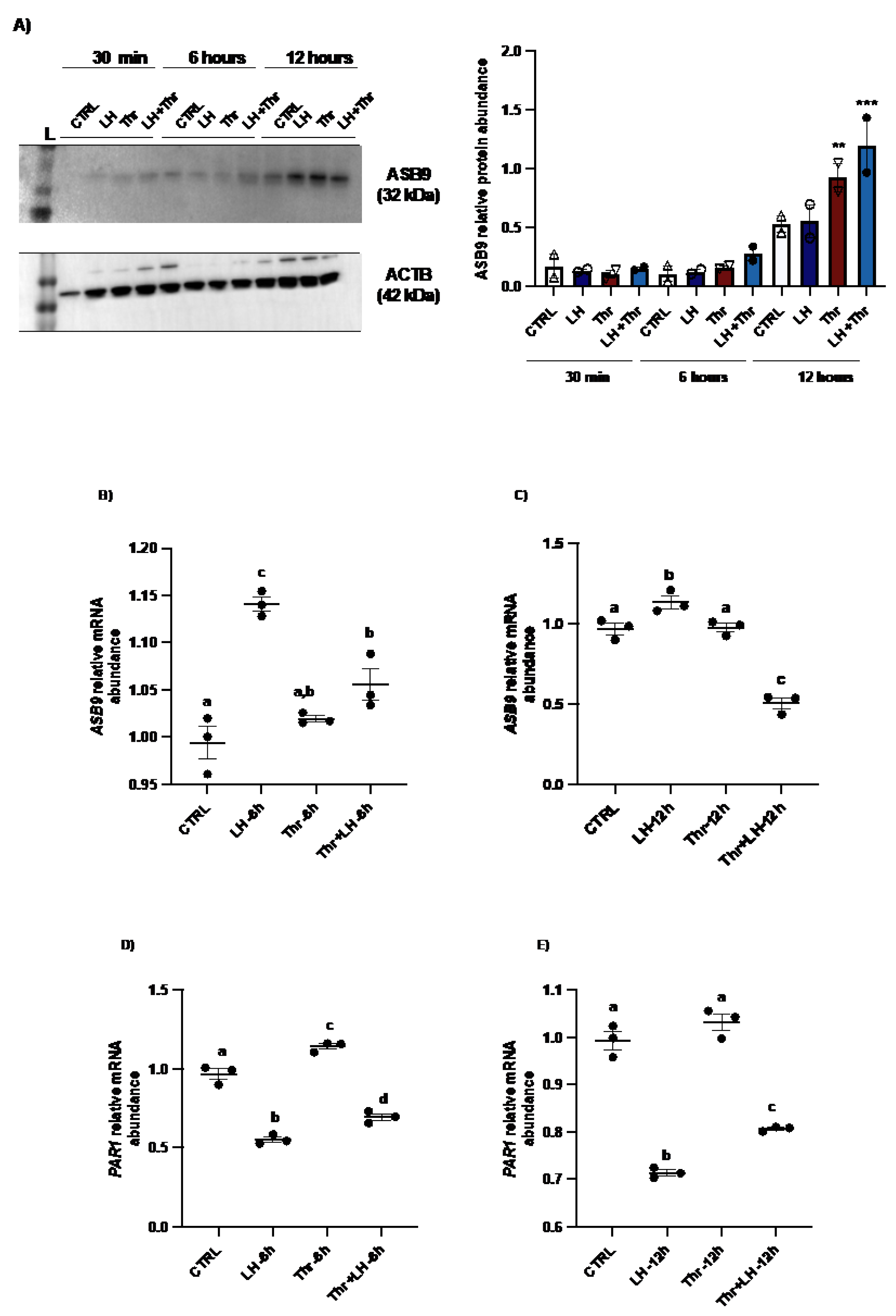 Preprints 172266 g002