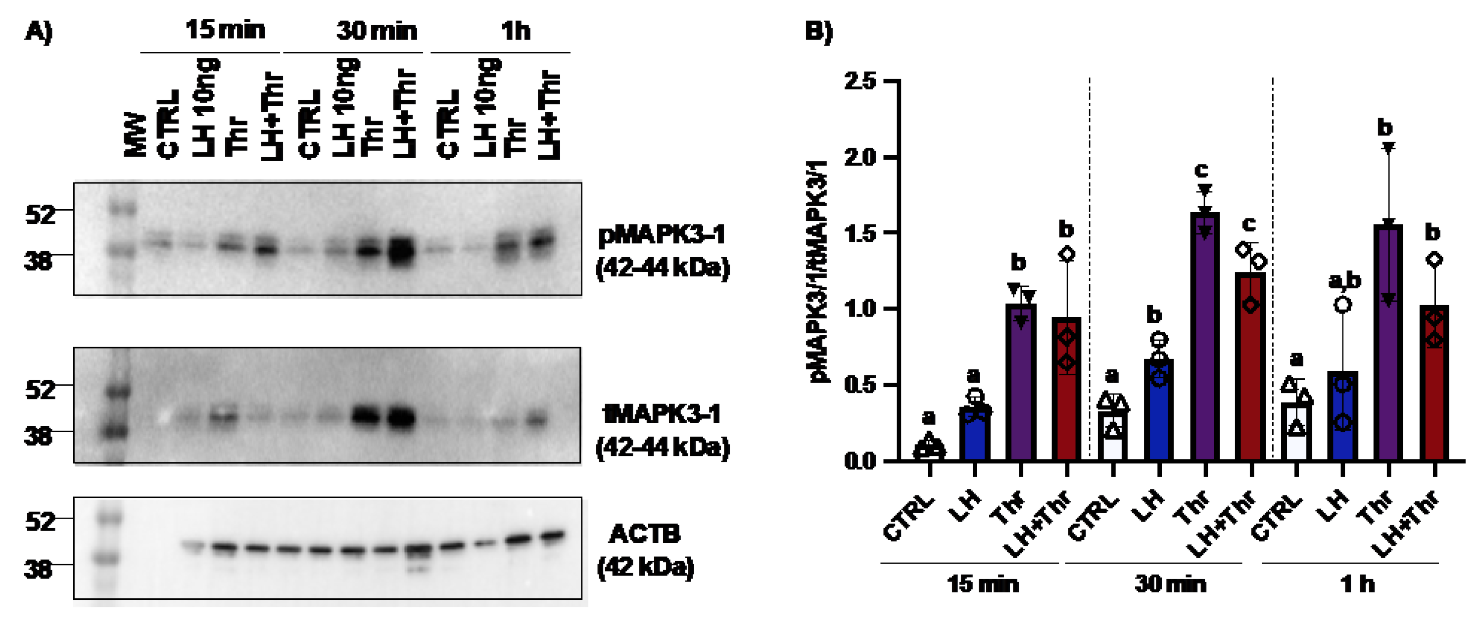 Preprints 172266 g004