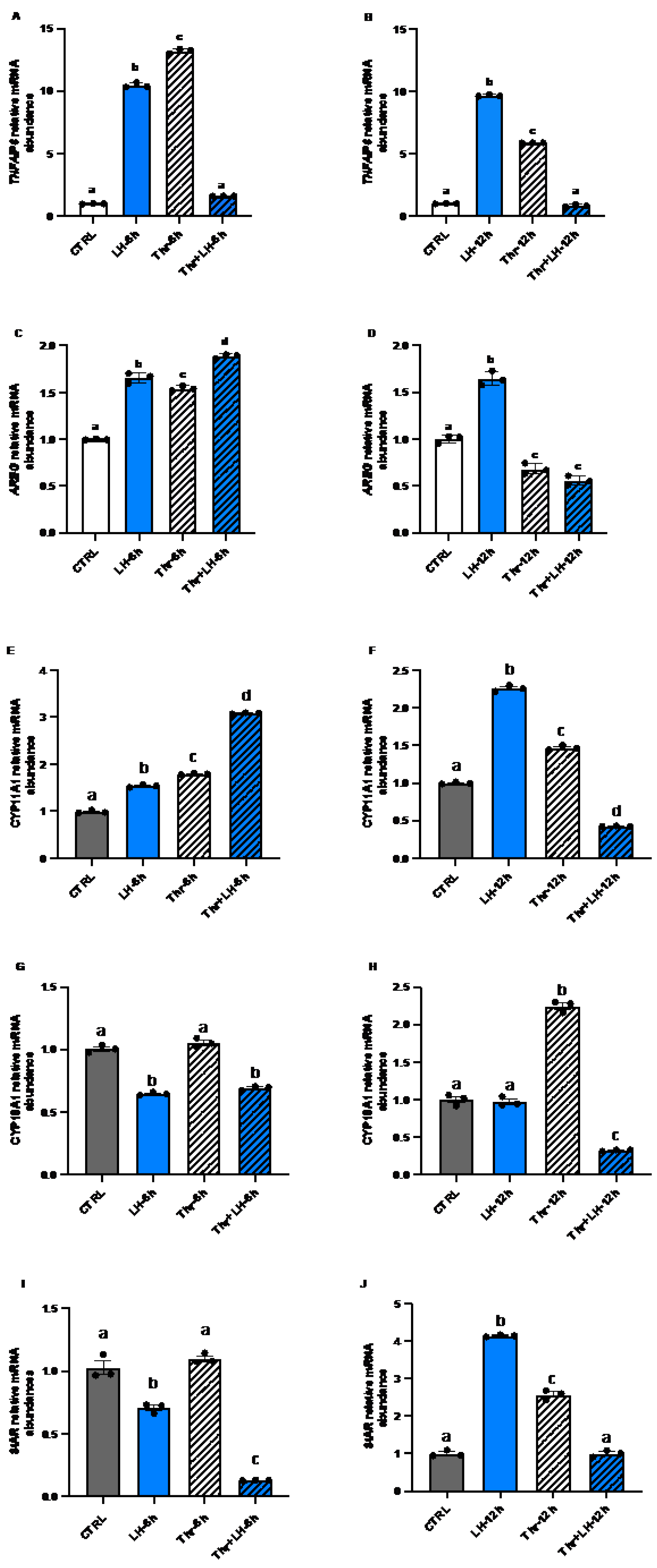 Preprints 172266 g005