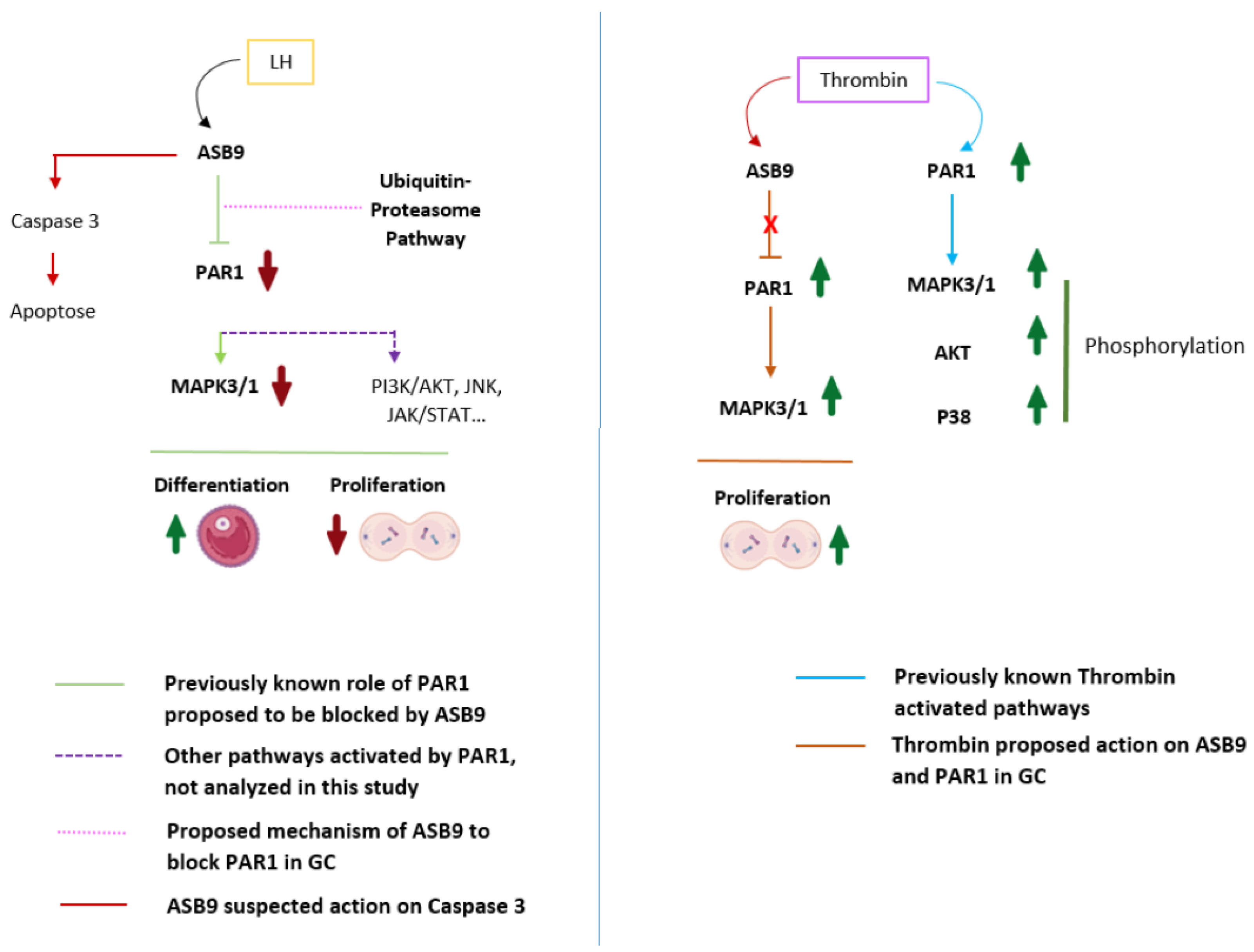 Preprints 172266 g007
