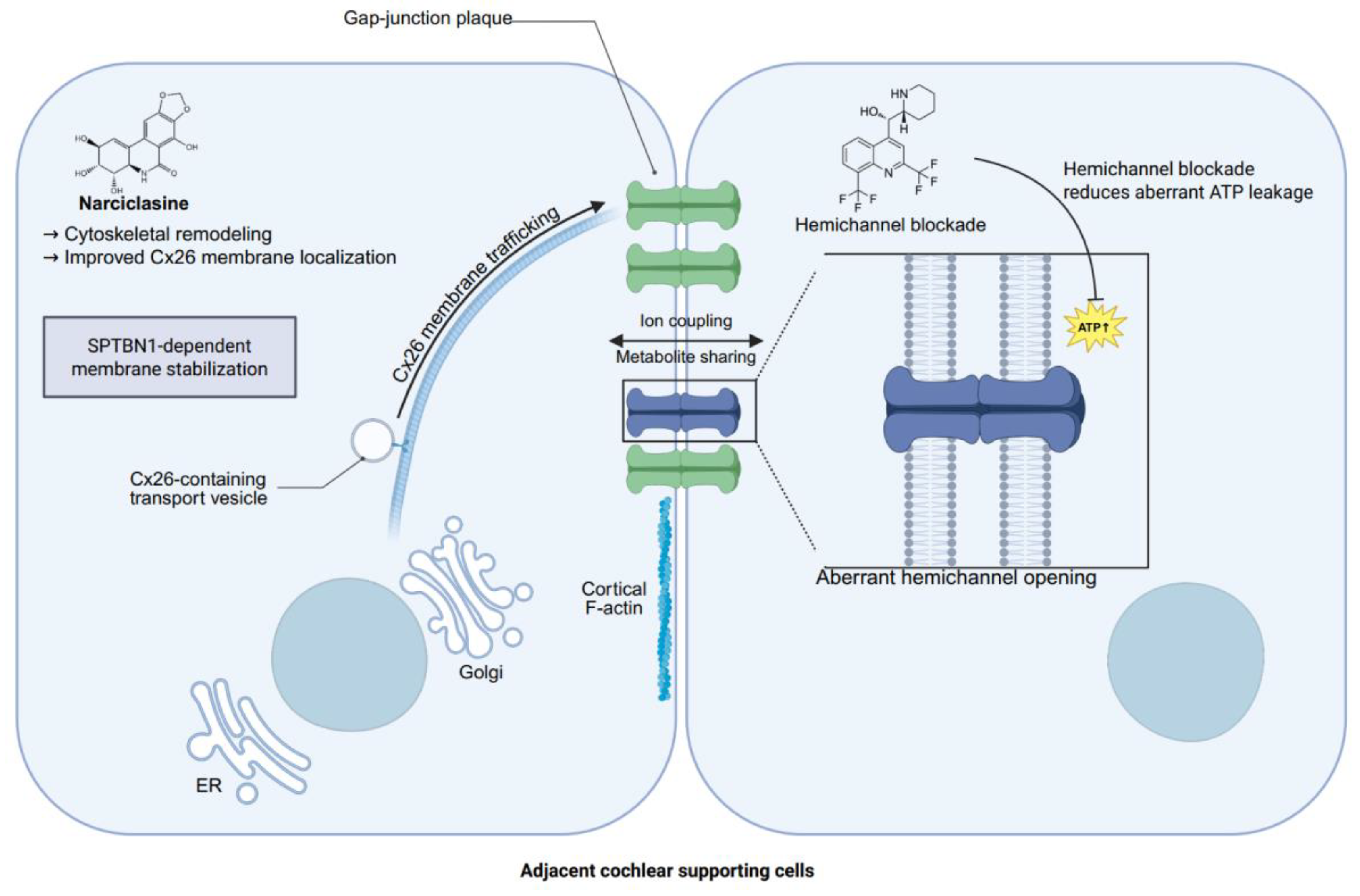Preprints 208376 g001 Preprints 208376 g001