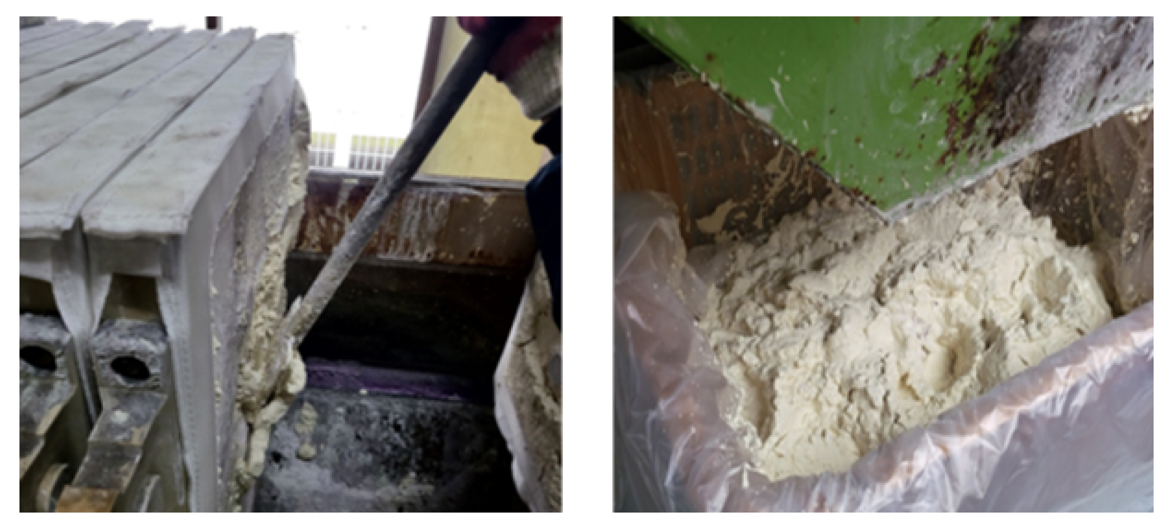 Preprints 154657 g005