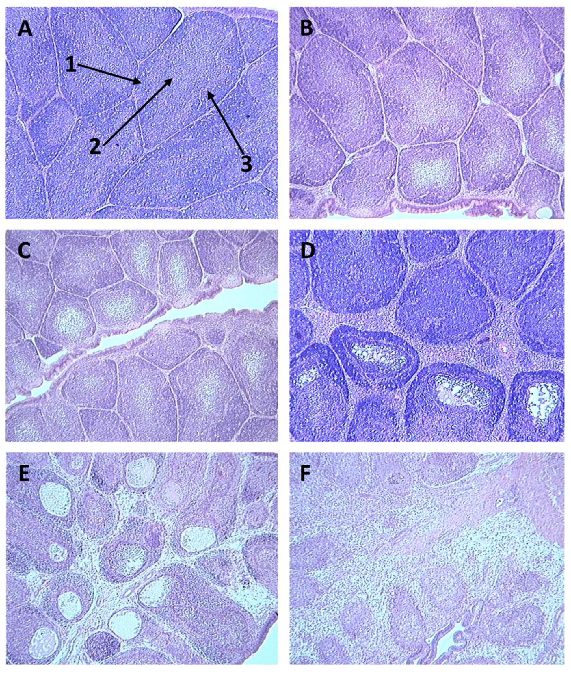 Preprints 82277 g001