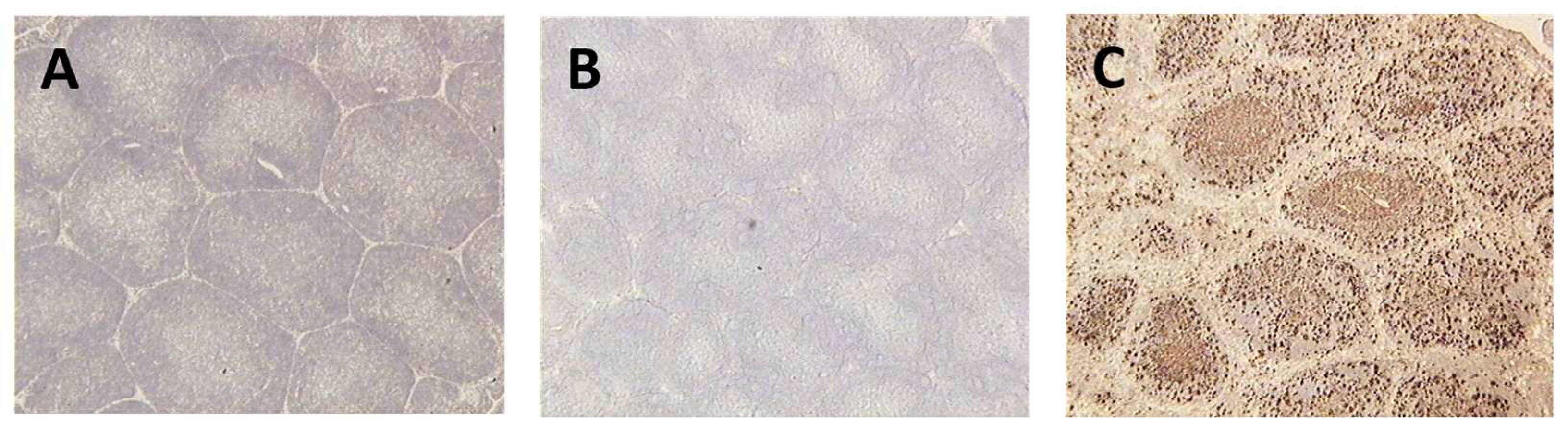 Preprints 82277 g003