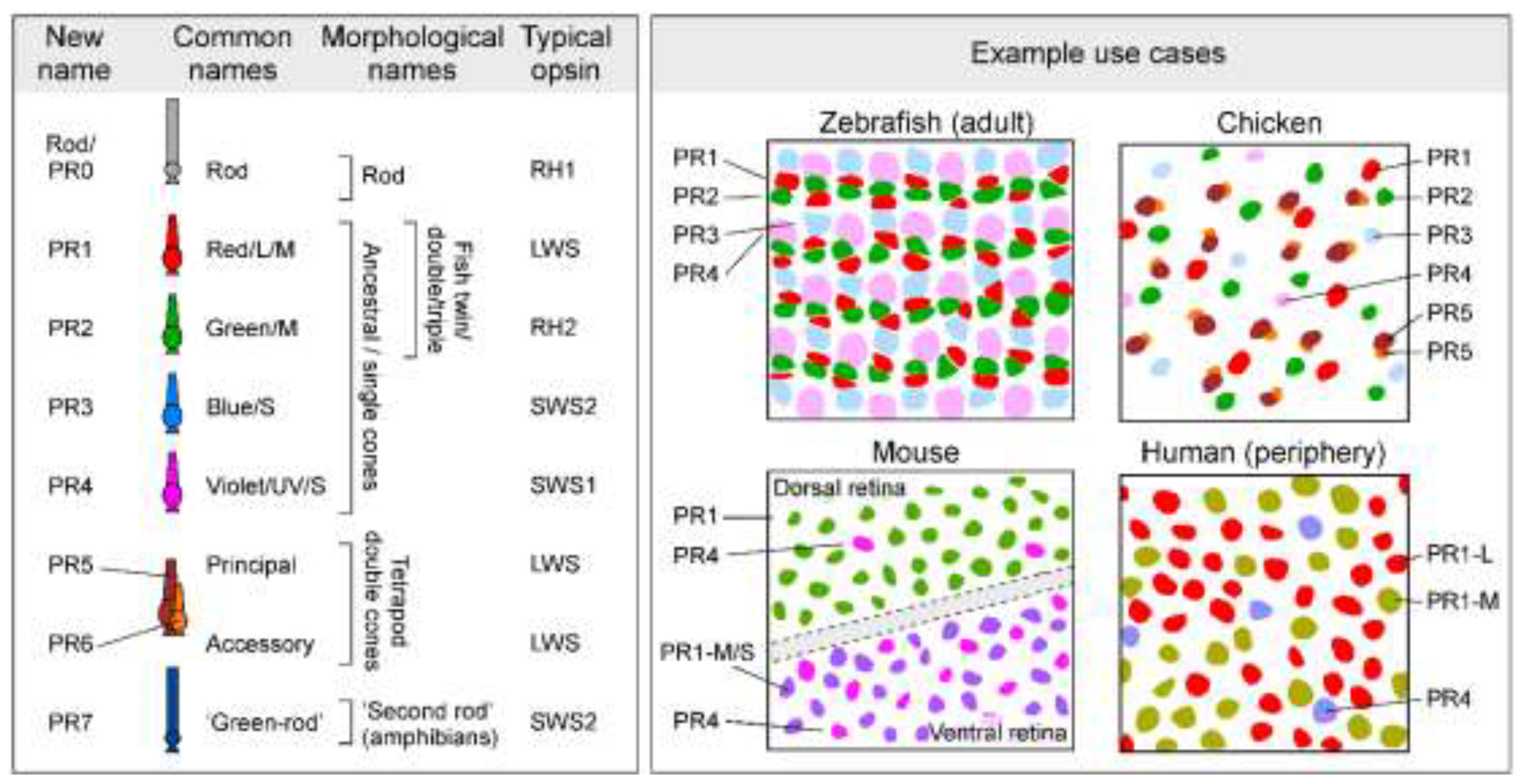 Preprints 149916 g001