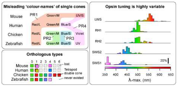 Preprints 149916 i001