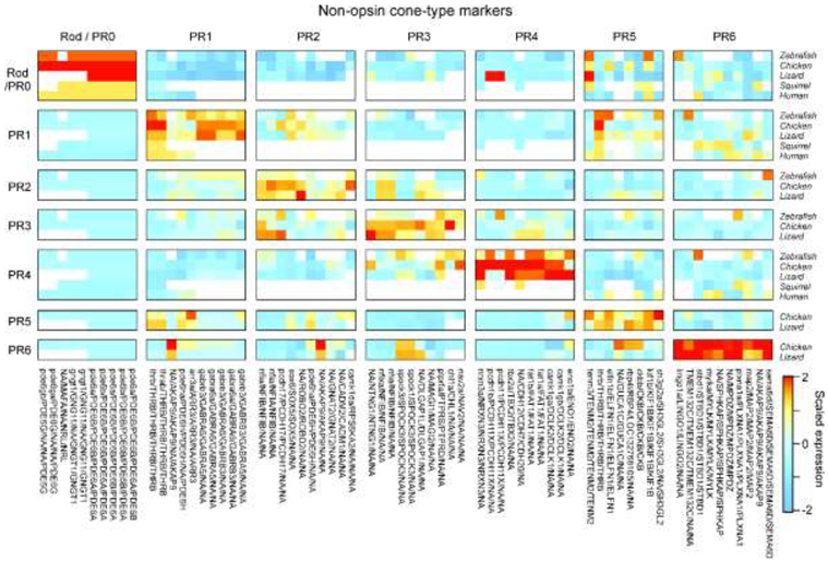 Preprints 149916 i003