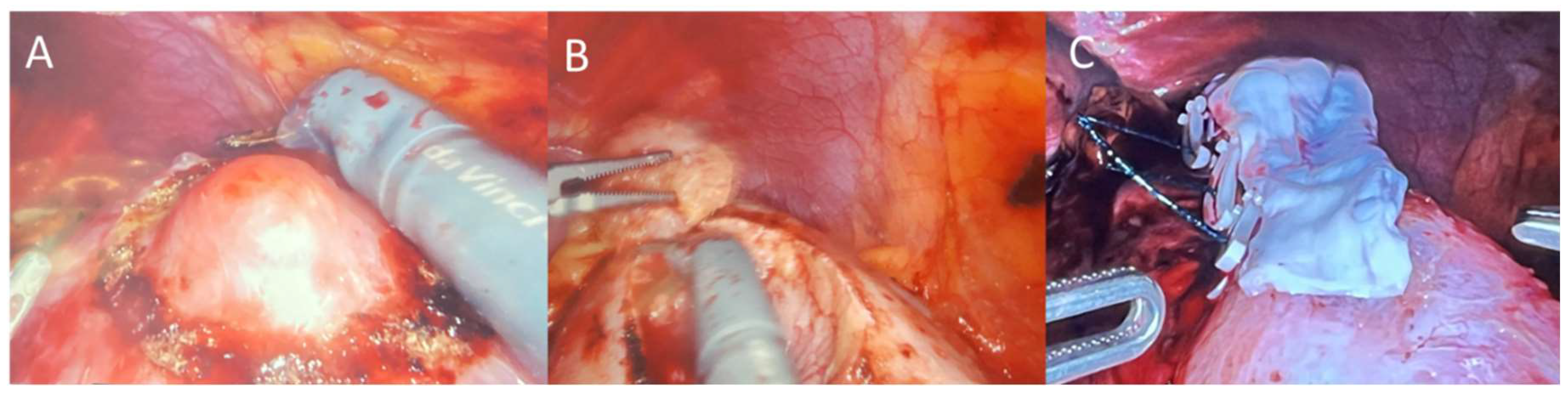 Preprints 159826 g001