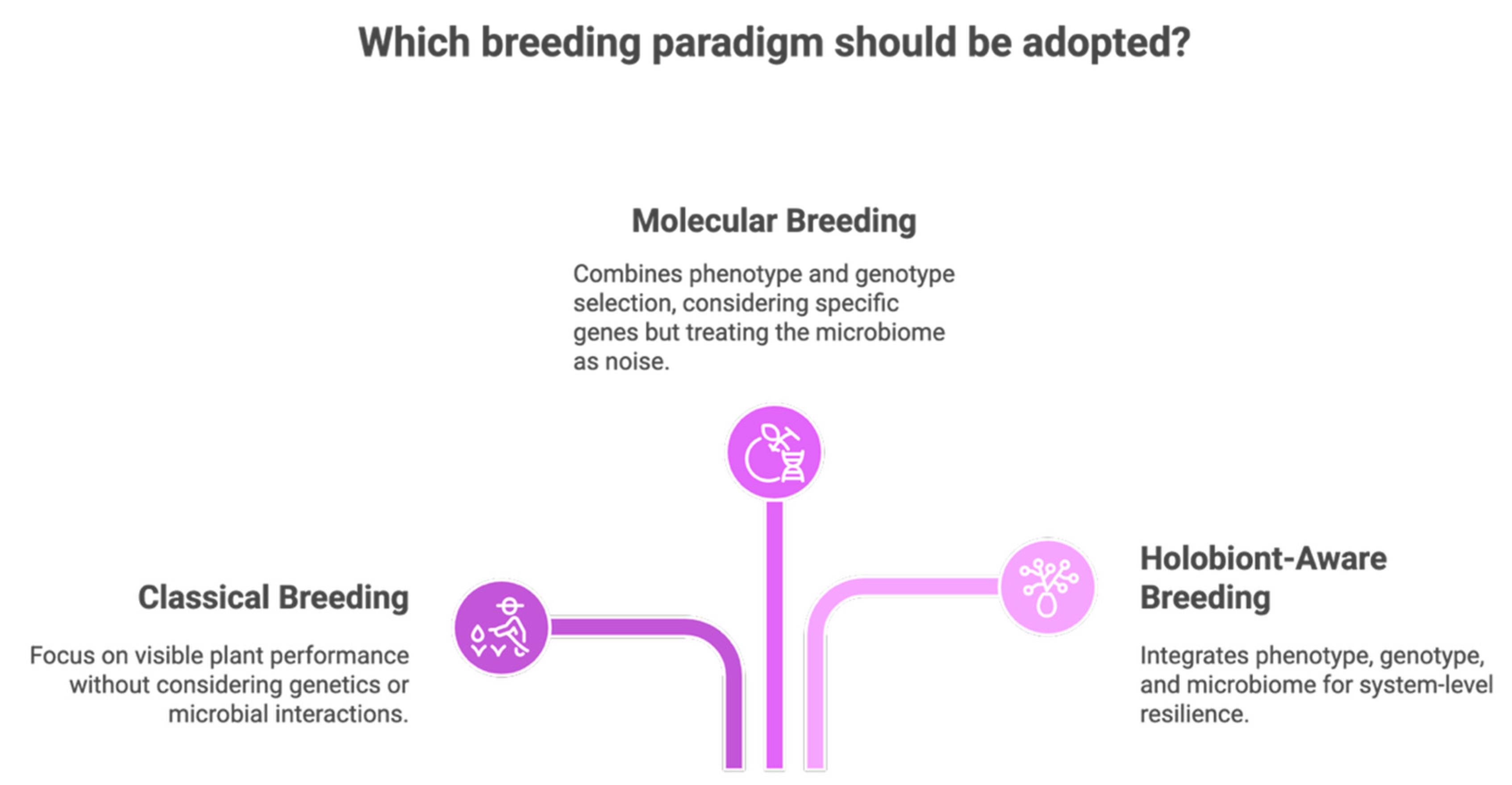 Preprints 180529 g002